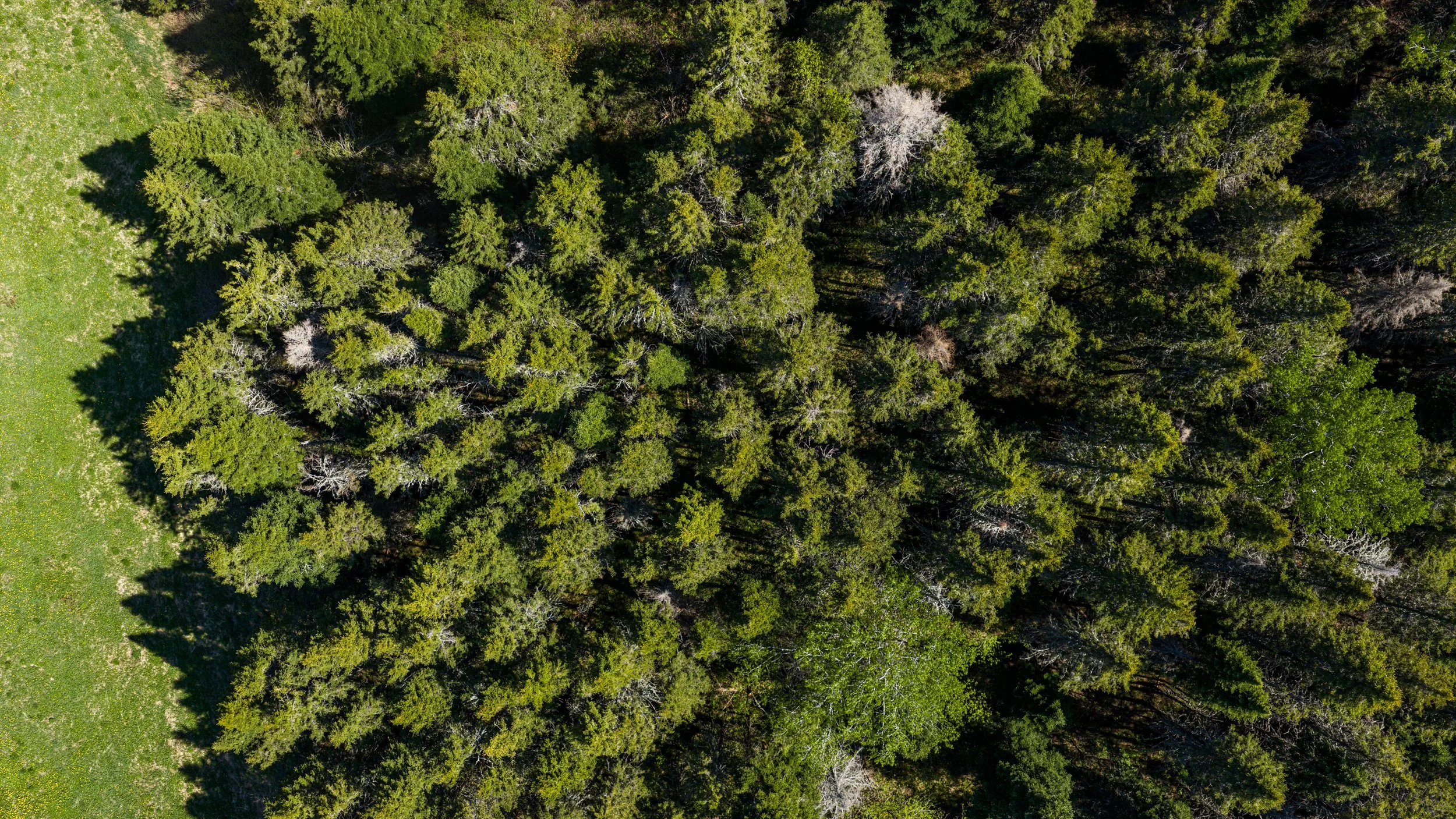 167-Drone-11.jpg