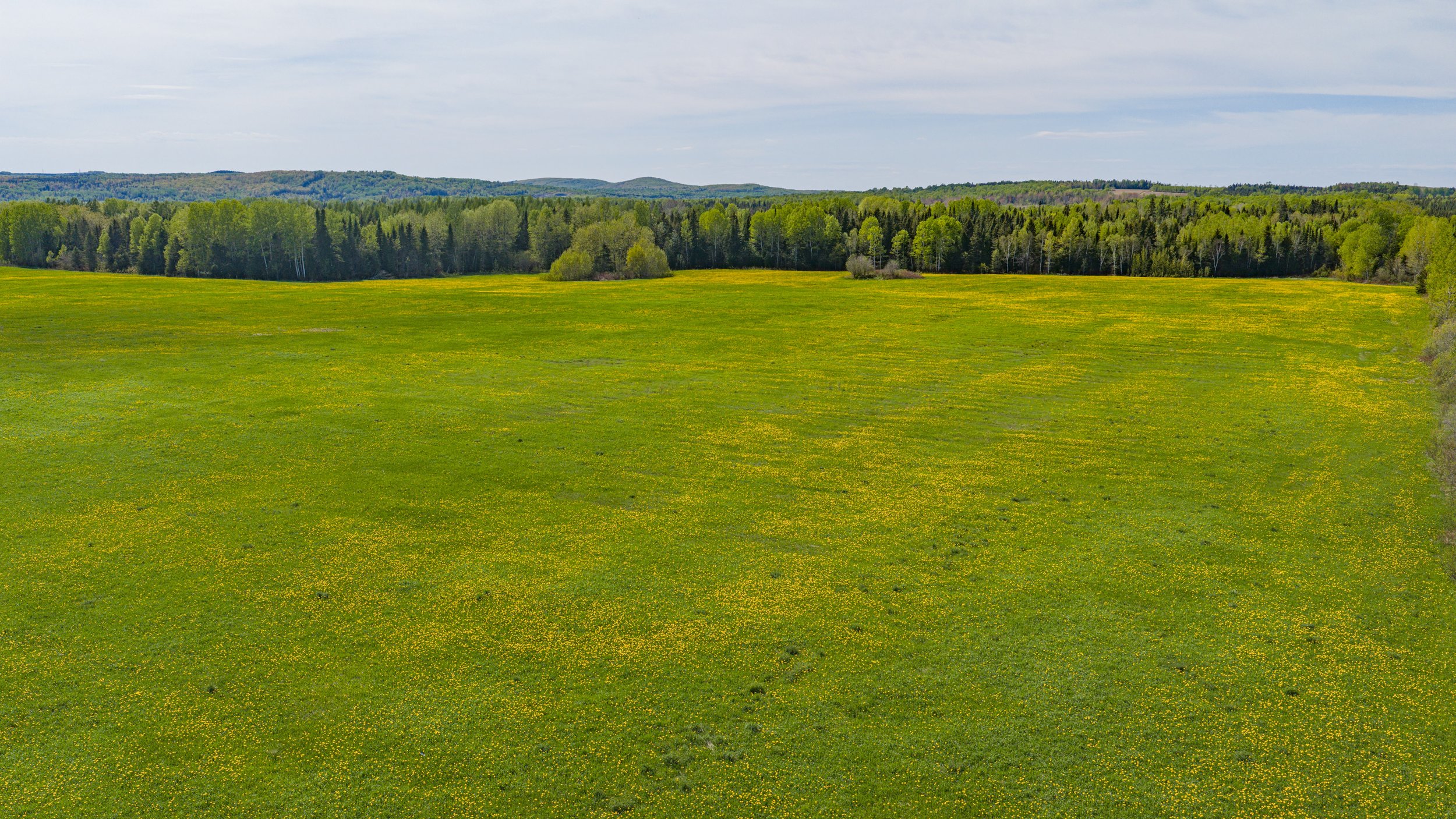 171-Drone-15.jpg
