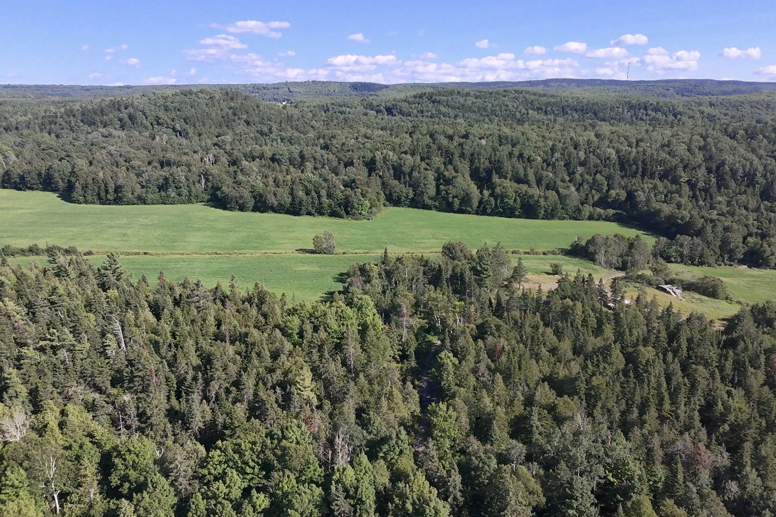 dji_fly_20260717_164852_0087_1784323429791_photo_beautify.jpg