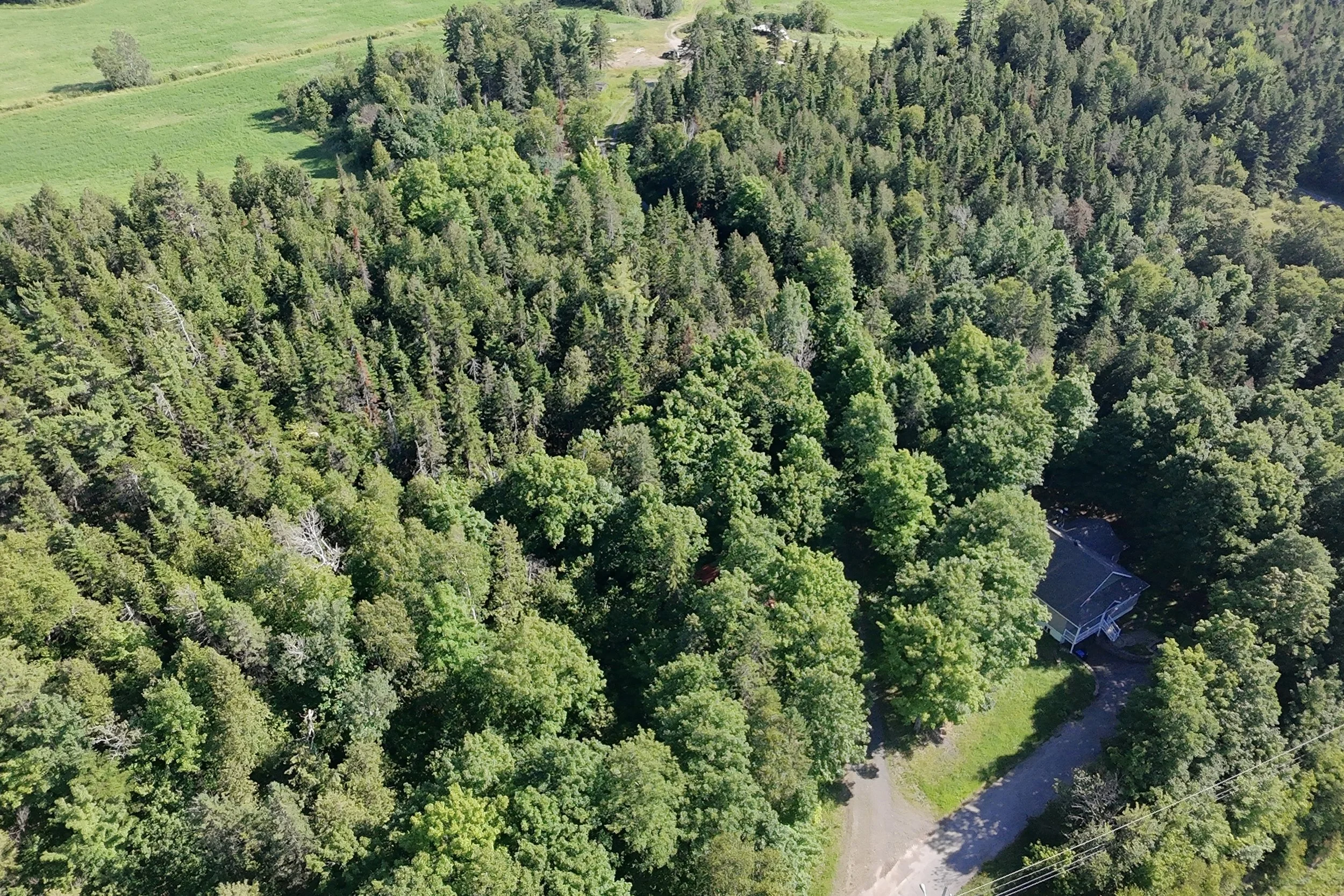 dji_fly_20260717_164744_0082_1784323431743_photo_beautify.jpg