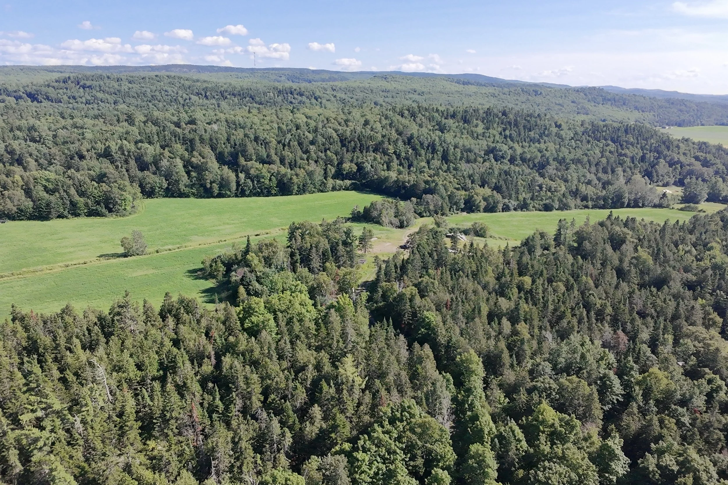 dji_fly_20260717_164828_0084_1784323431120_photo_beautify.jpg