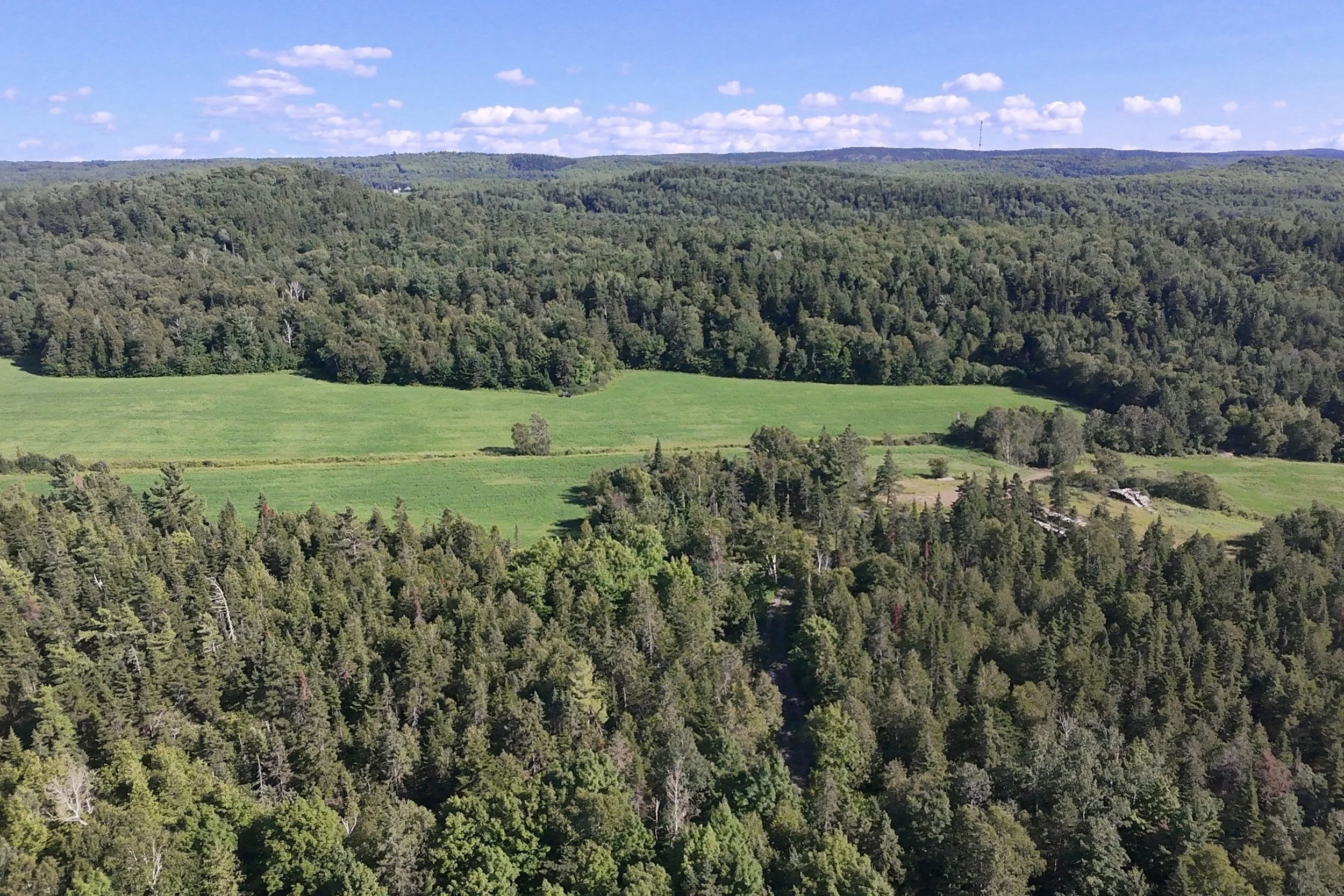 dji_fly_20260717_164848_0086_1784323430219_photo_beautify.jpg