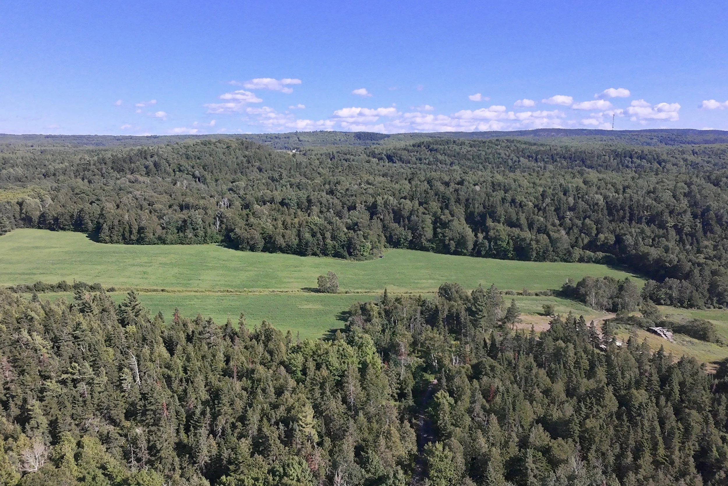 dji_fly_20260717_164858_0088_1784323429362_photo_beautify.jpg