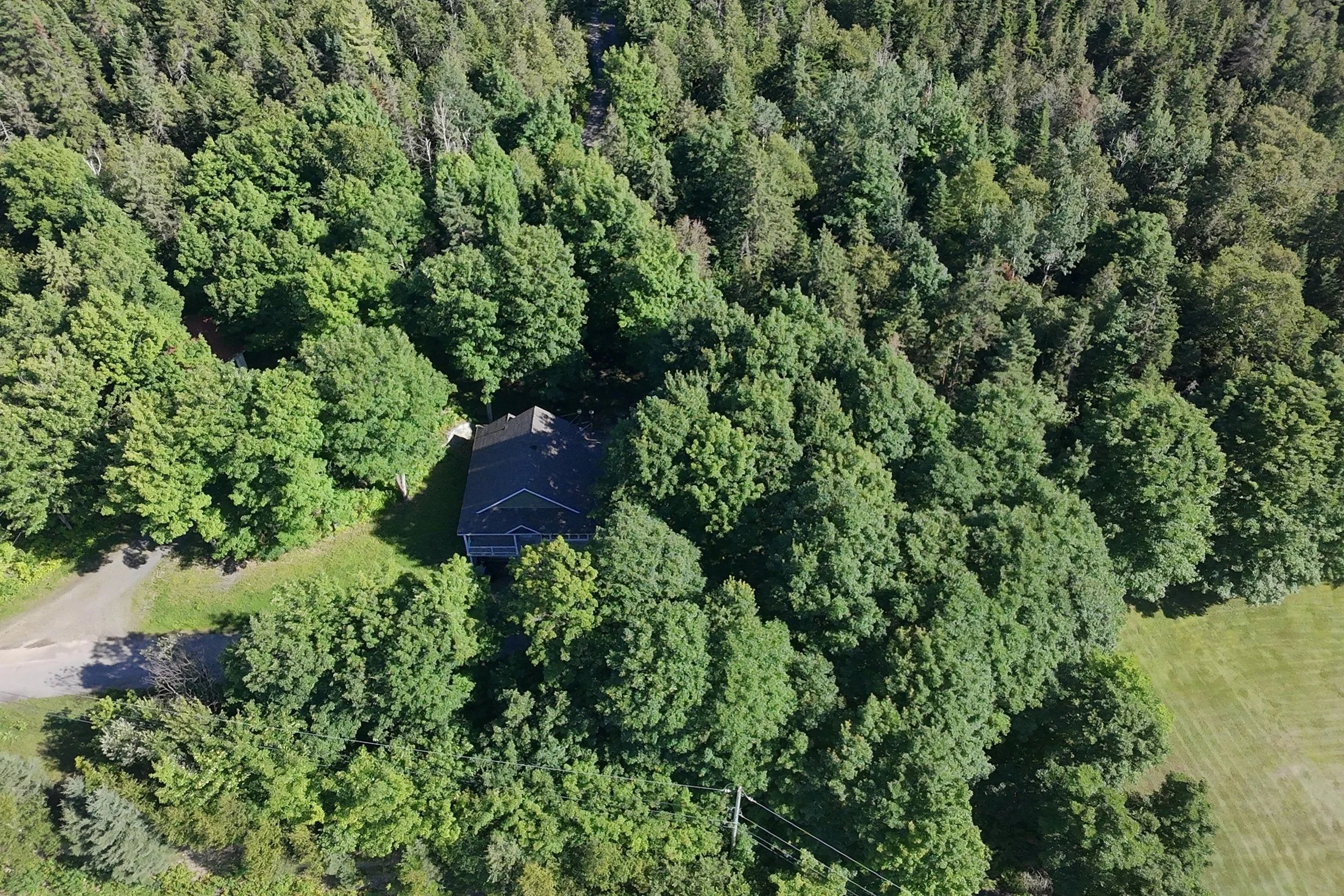 dji_fly_20260717_164912_0091_1784323428084_photo_beautify.jpg