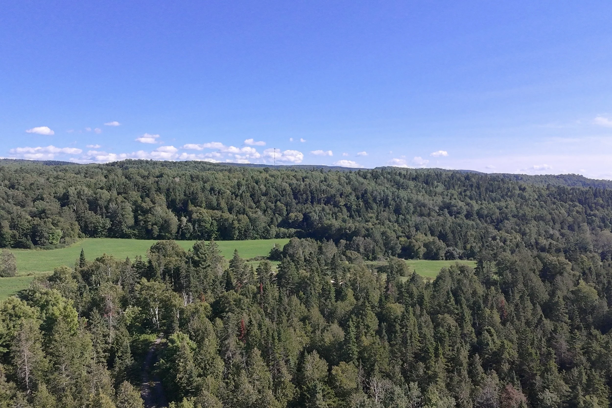 dji_fly_20260717_165056_0098_1784323426194_photo_beautify.jpg
