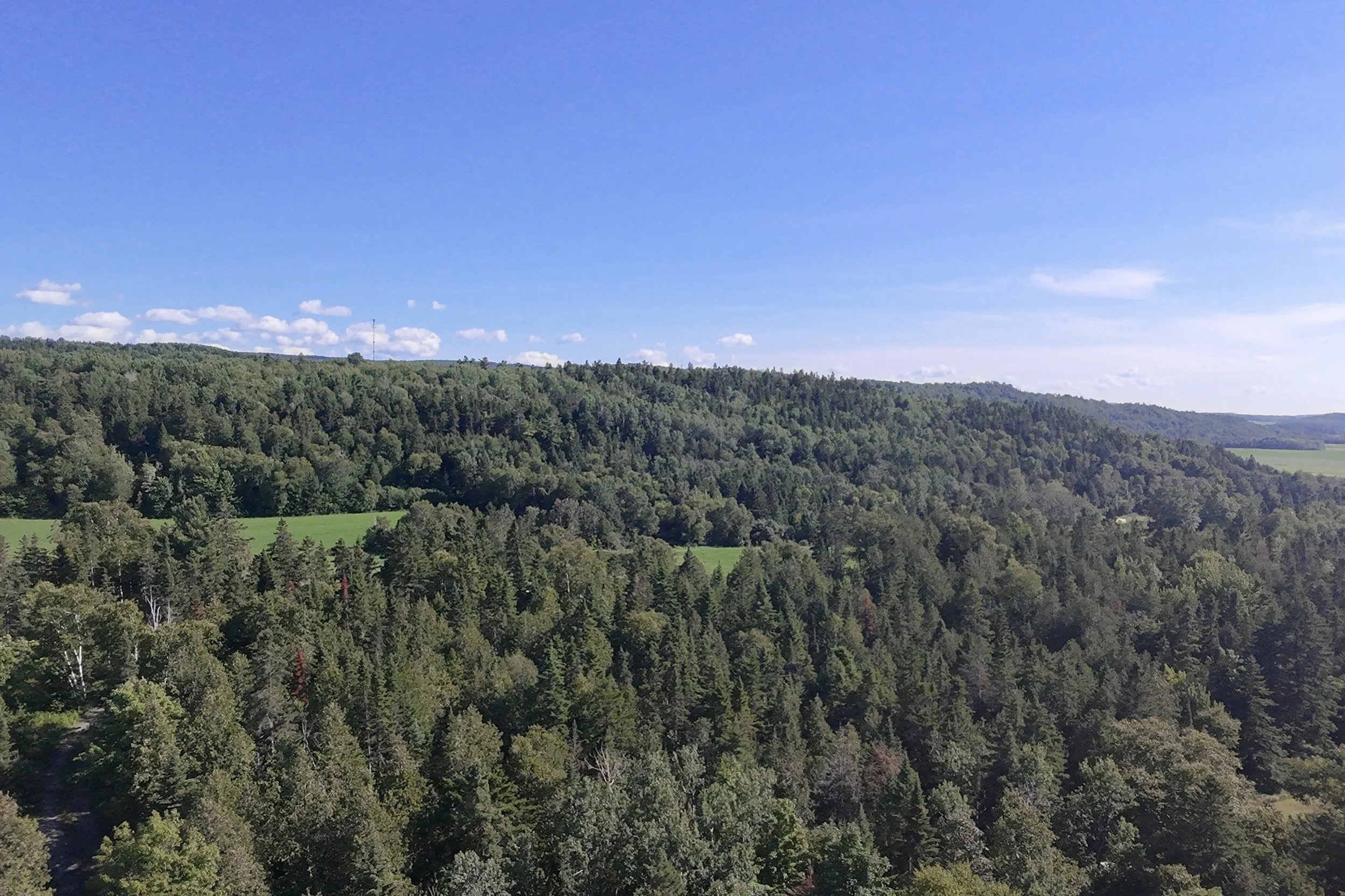 dji_fly_20260717_165058_0099_1784323425828_photo_beautify.jpg