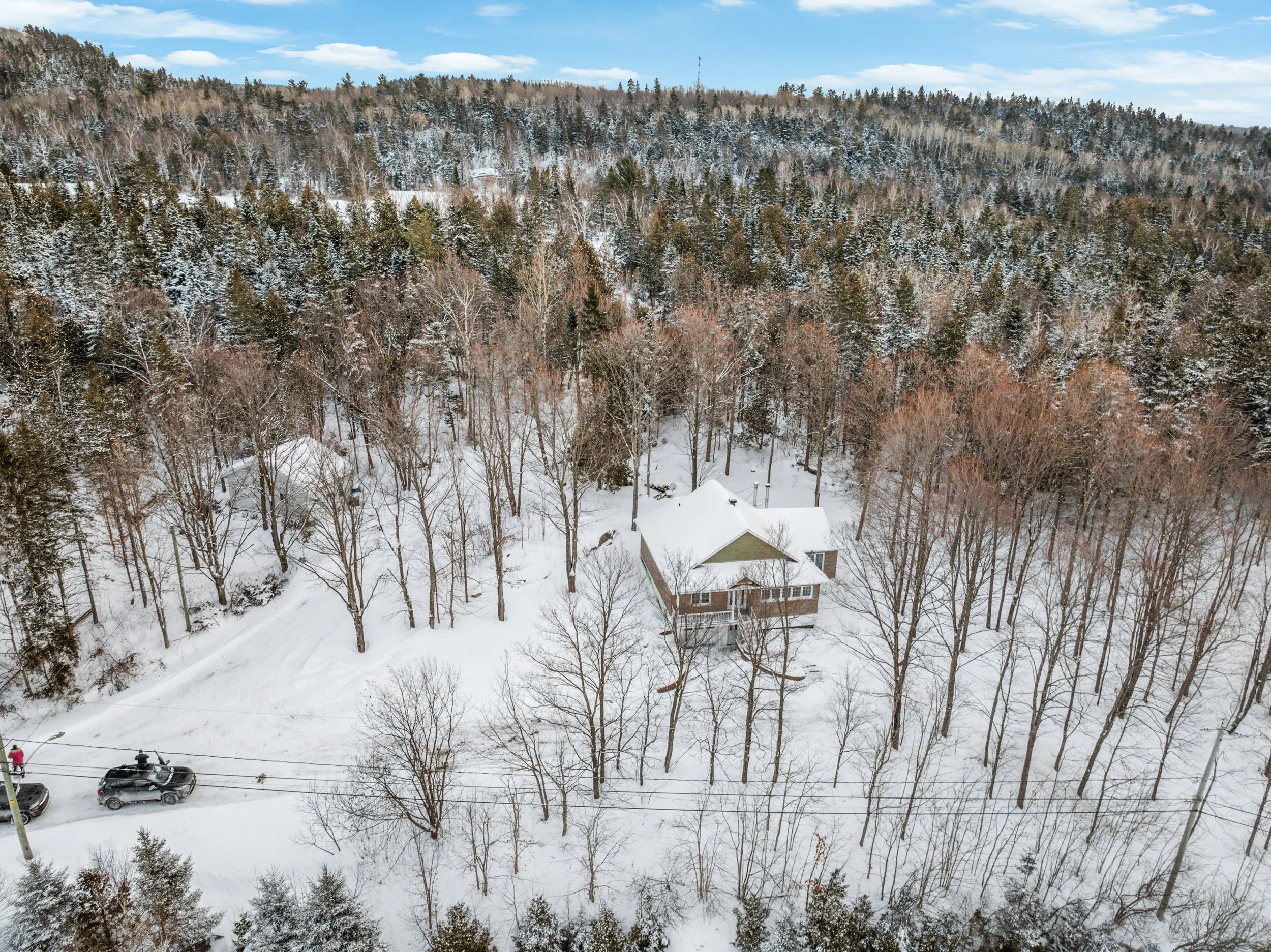Domaine-30-acres-LaPocatiere-Bois-motoneige-potentiel-acericole-culture-David-Fafard-courtage-agricole (58).jpg