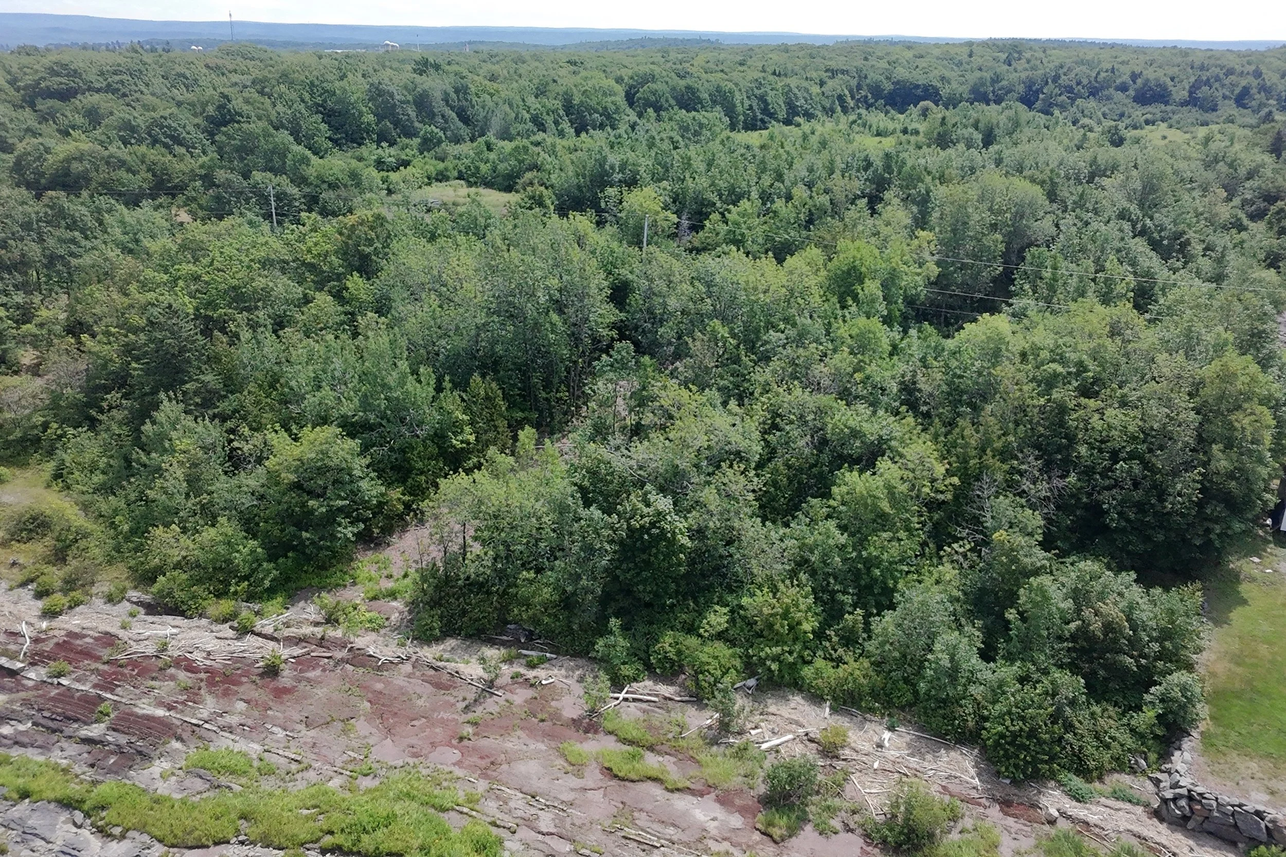 dji_fly_20260721_123352_0125_1784688303402_photo_beautify.jpg