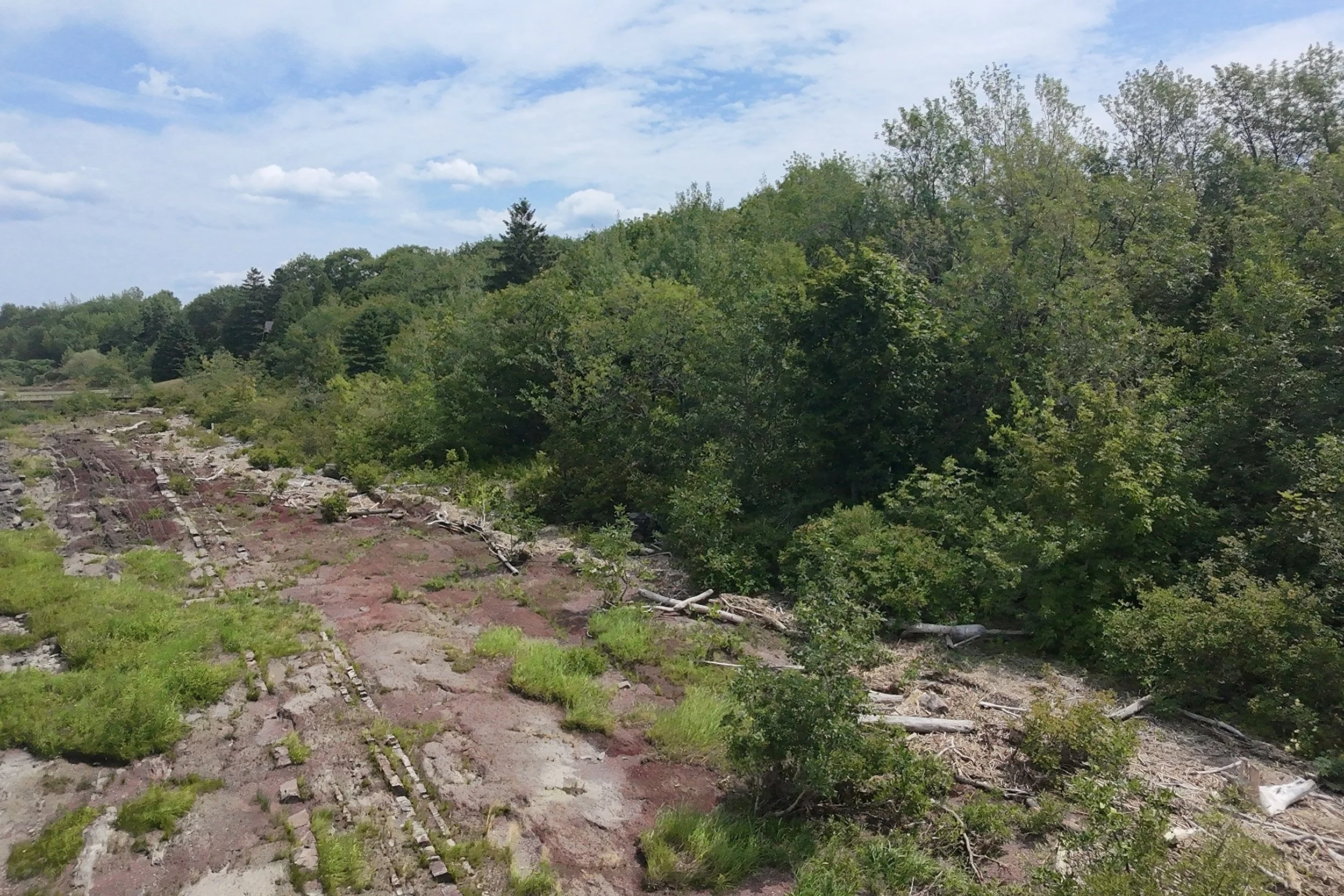 dji_fly_20260721_123516_0129_1784688301812_photo_beautify.jpg