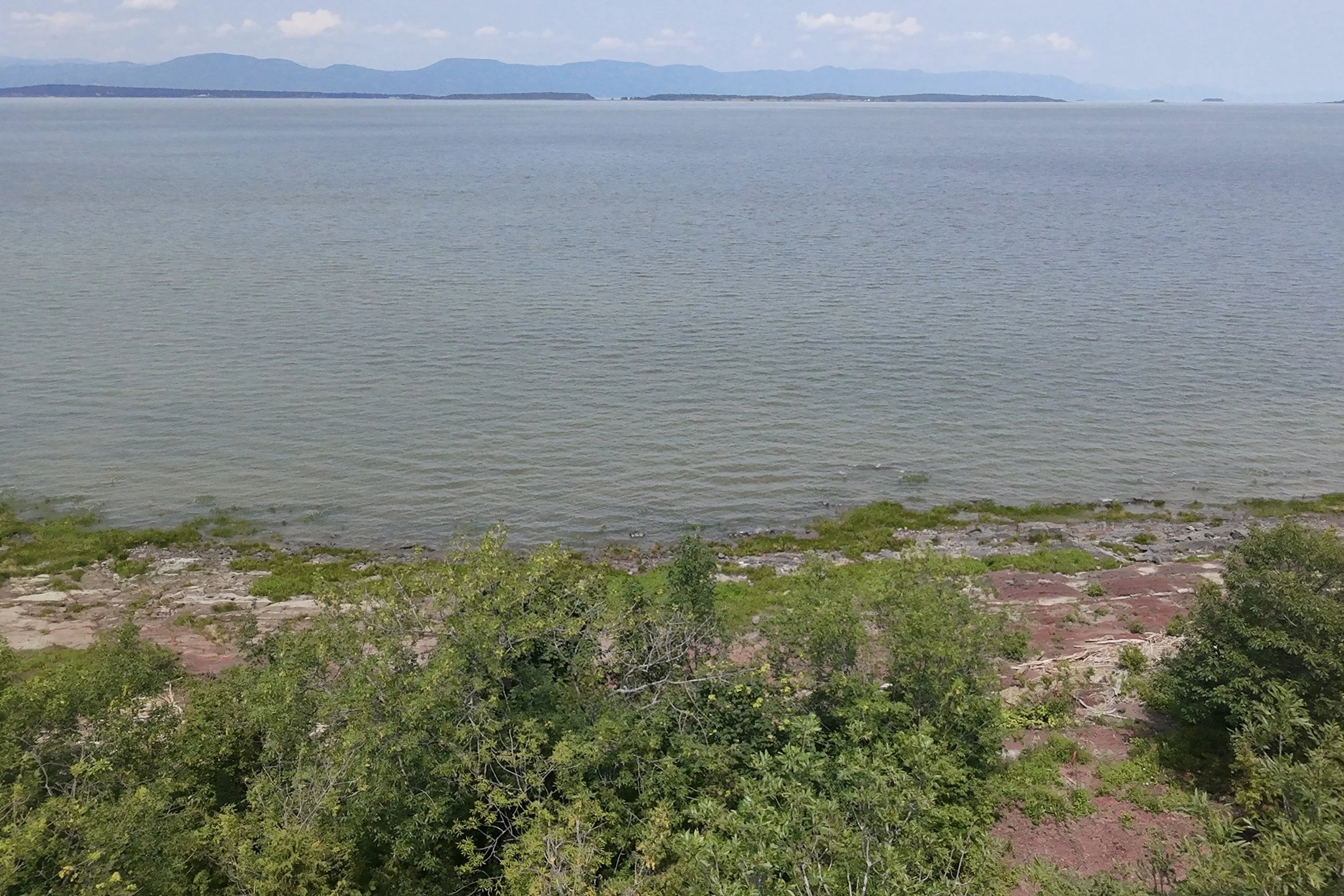 dji_fly_20260721_123844_0135_1784688300222_photo_beautify.jpg