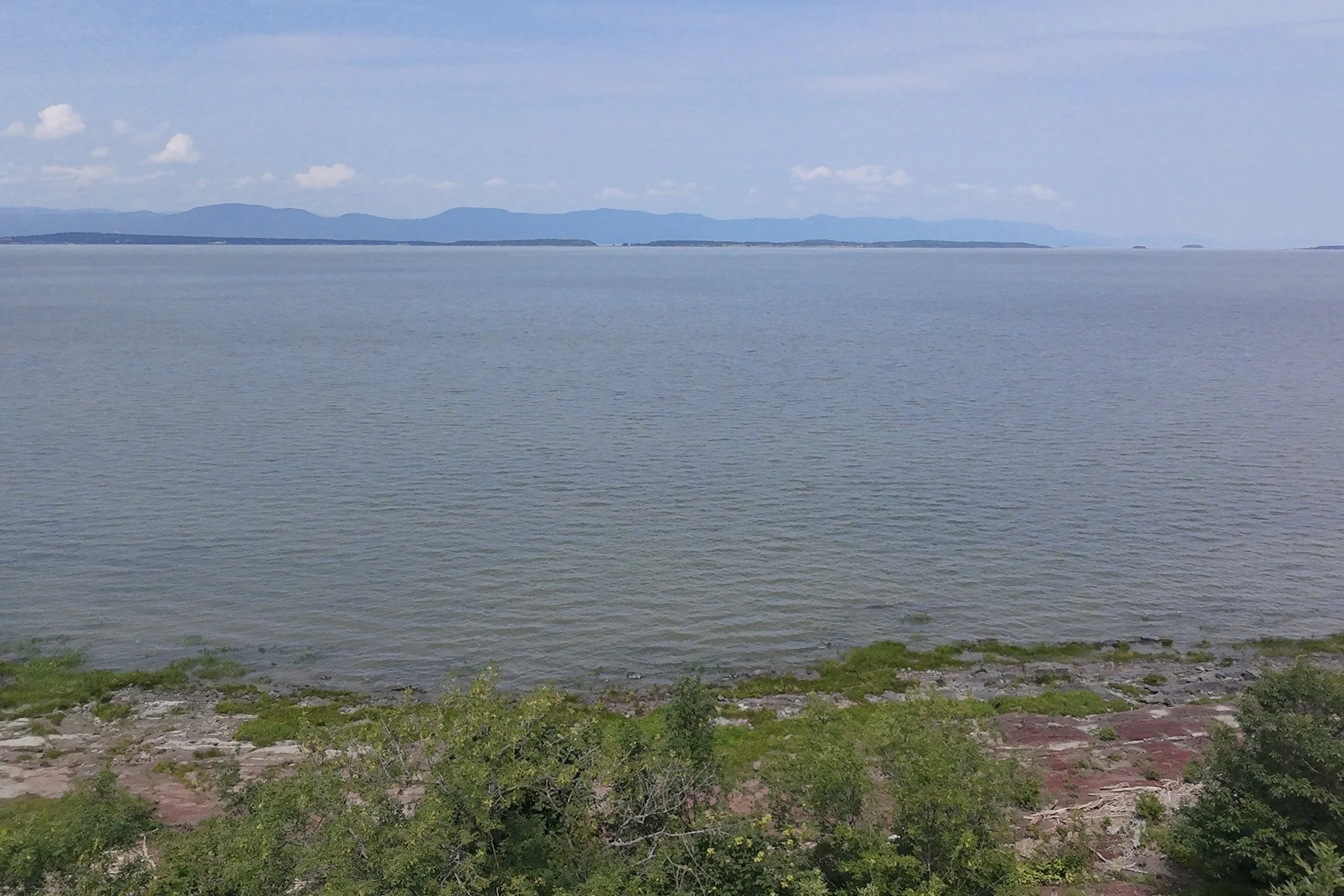 dji_fly_20260721_123846_0137_1784688299457_photo_beautify.jpg