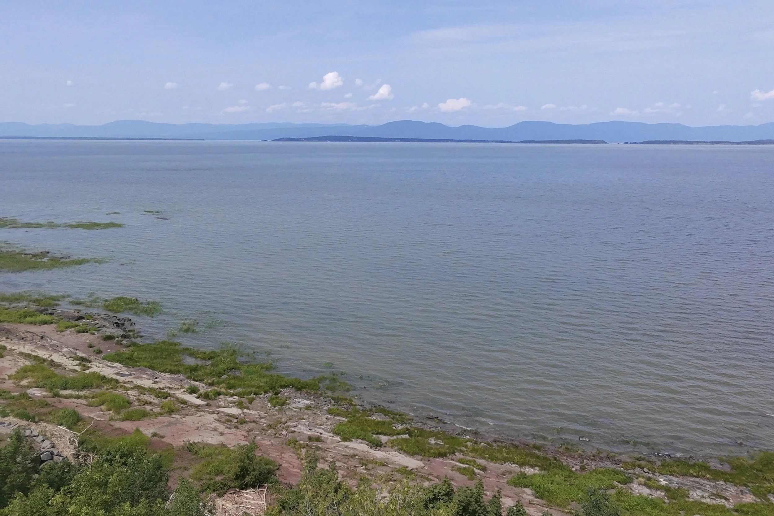 dji_fly_20260721_123854_0139_1784688298781_photo_beautify.jpg