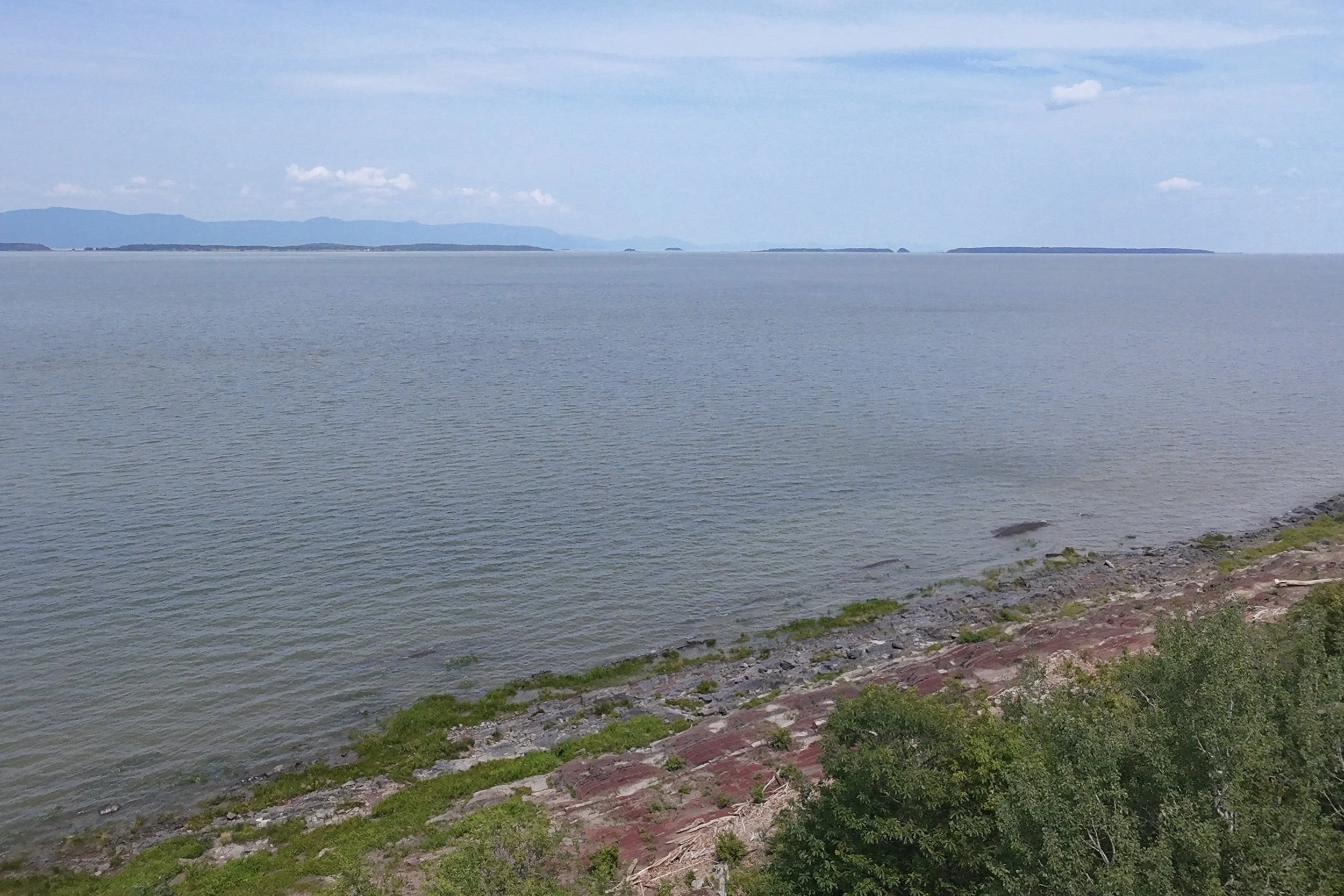 dji_fly_20260721_123856_0140_1784688298406_photo_beautify.jpg