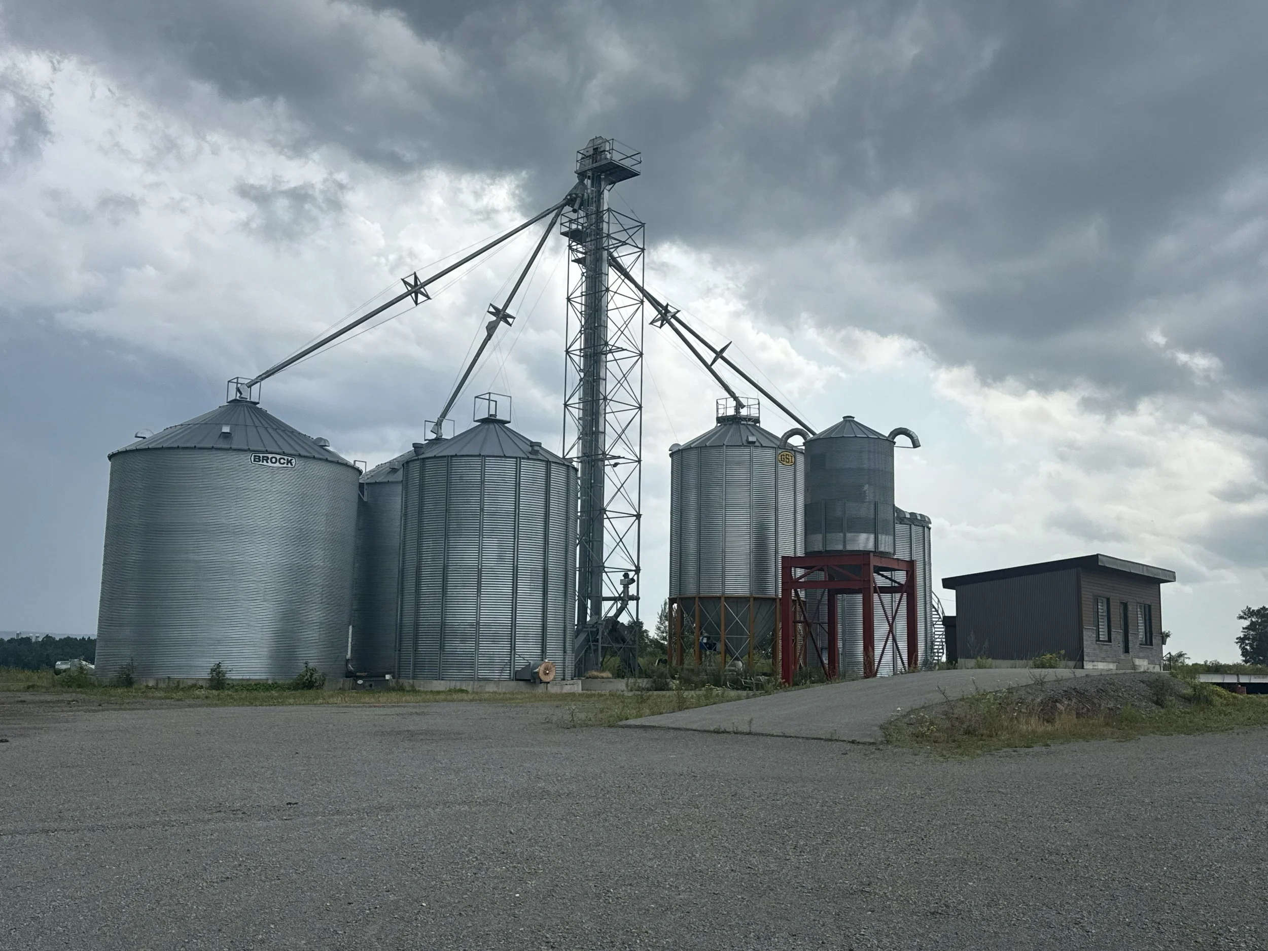 CENTRE DE GRAINS A VENDRE MONTMAGNY DAVID FAFARD COURTIER AGRICOLE26.jpg
