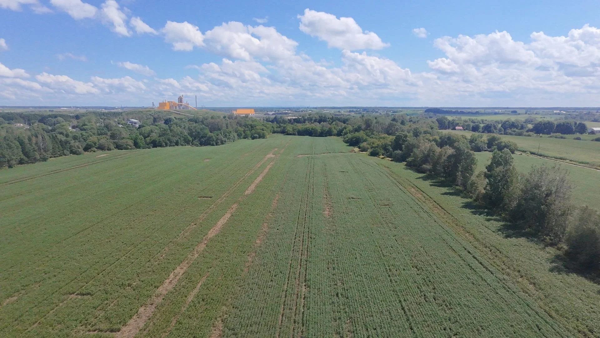 dji_fly_20260824_133836_0191_1787608849455.jpg
