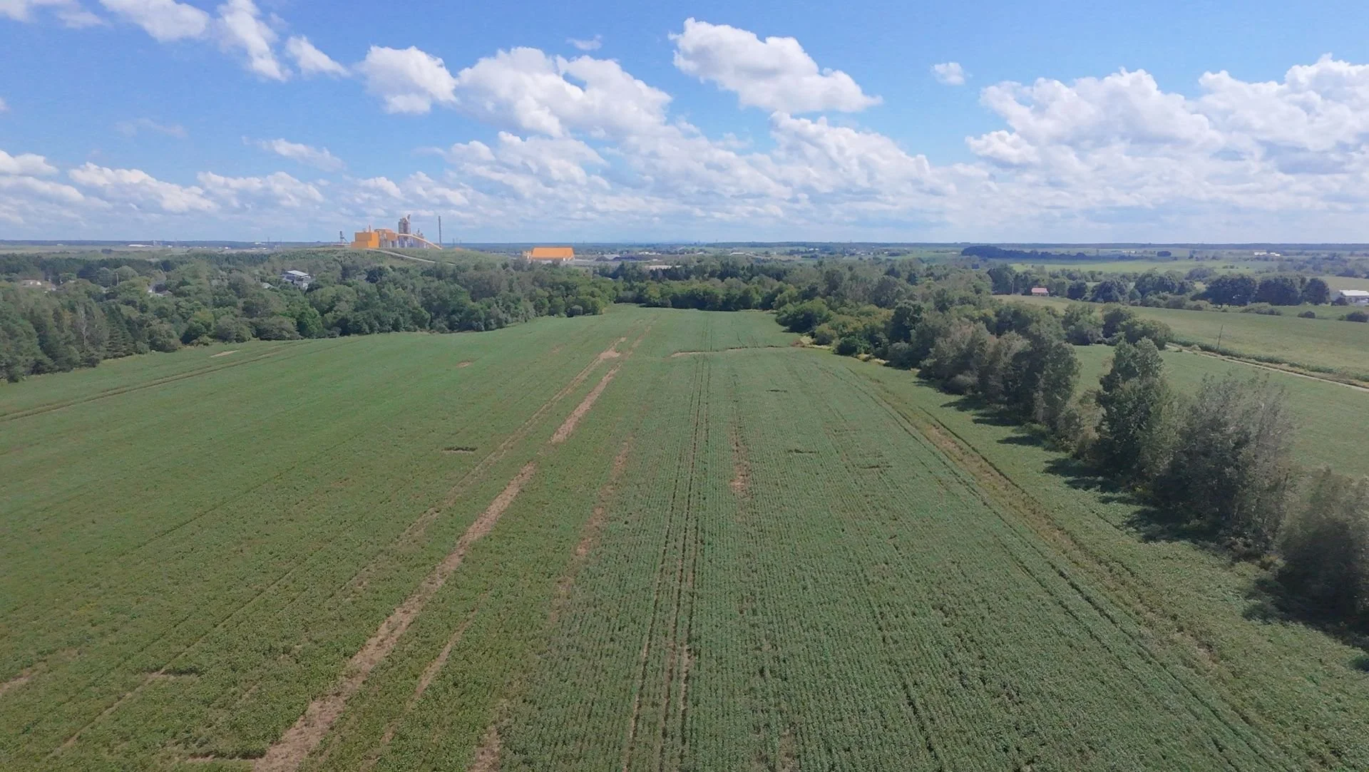 dji_fly_20260824_133838_0192_1787608849052.jpg