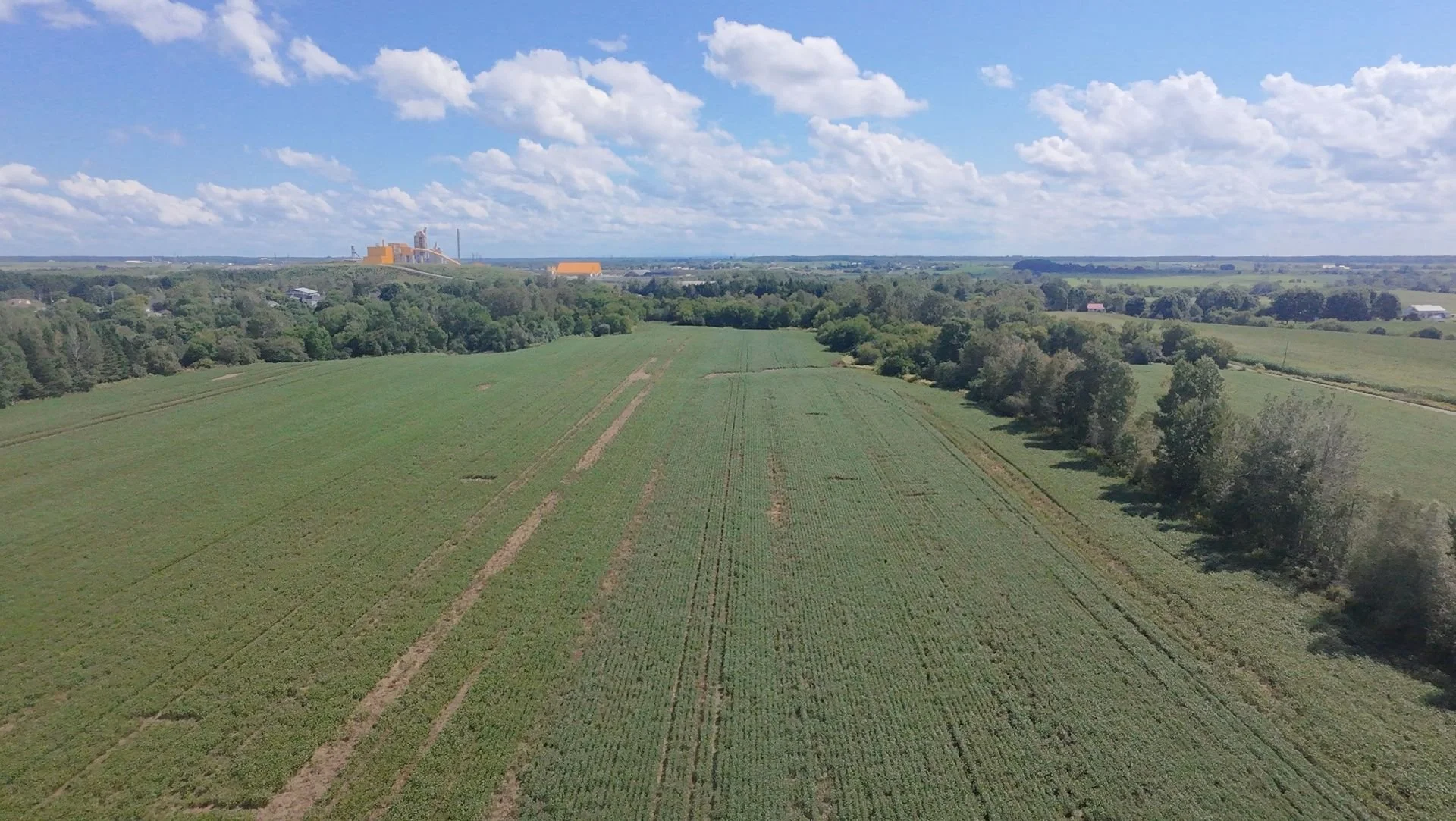 dji_fly_20260824_133840_0193_1787608848653.jpg