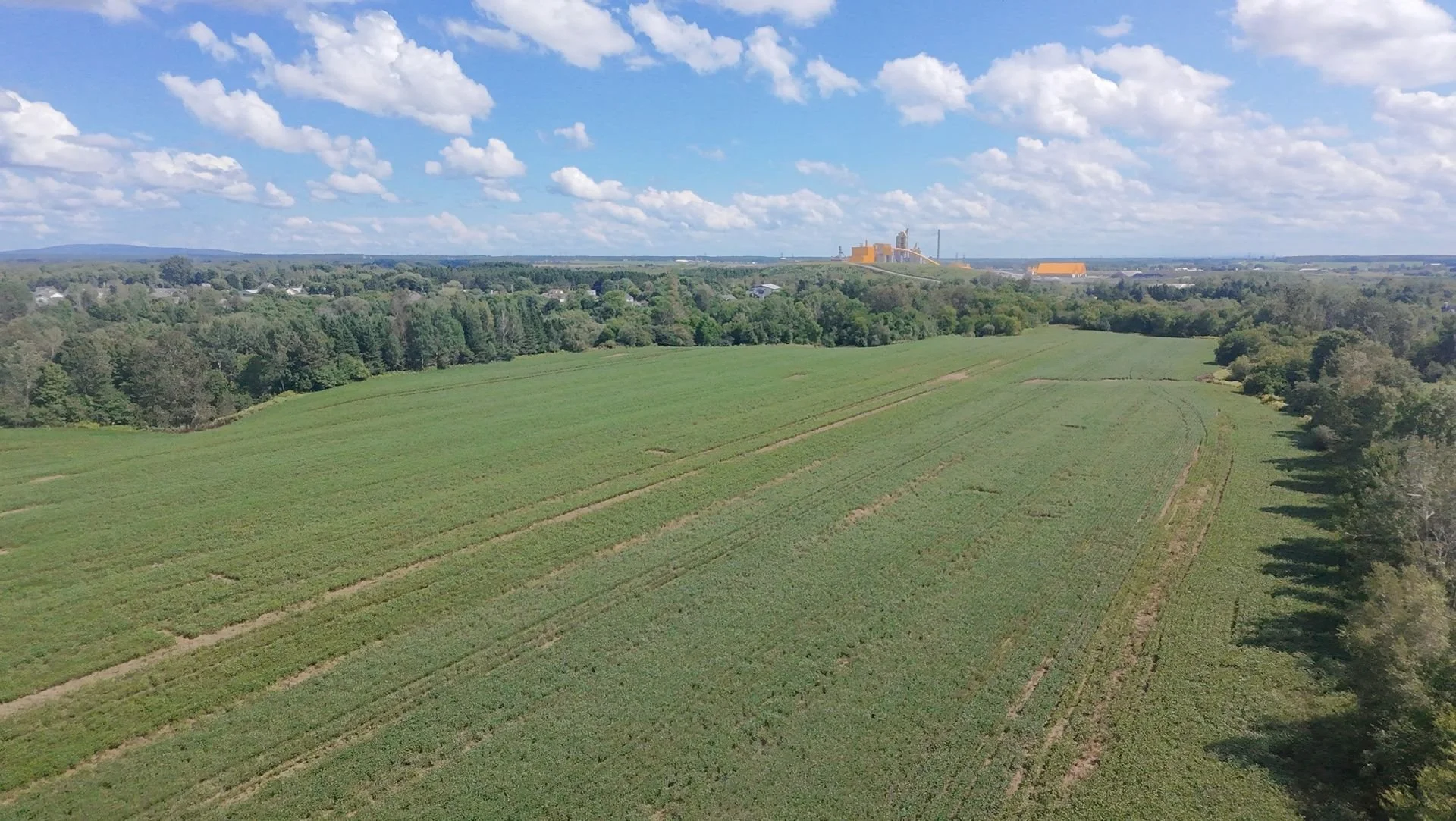 dji_fly_20260824_133858_0194_1787608848261.jpg