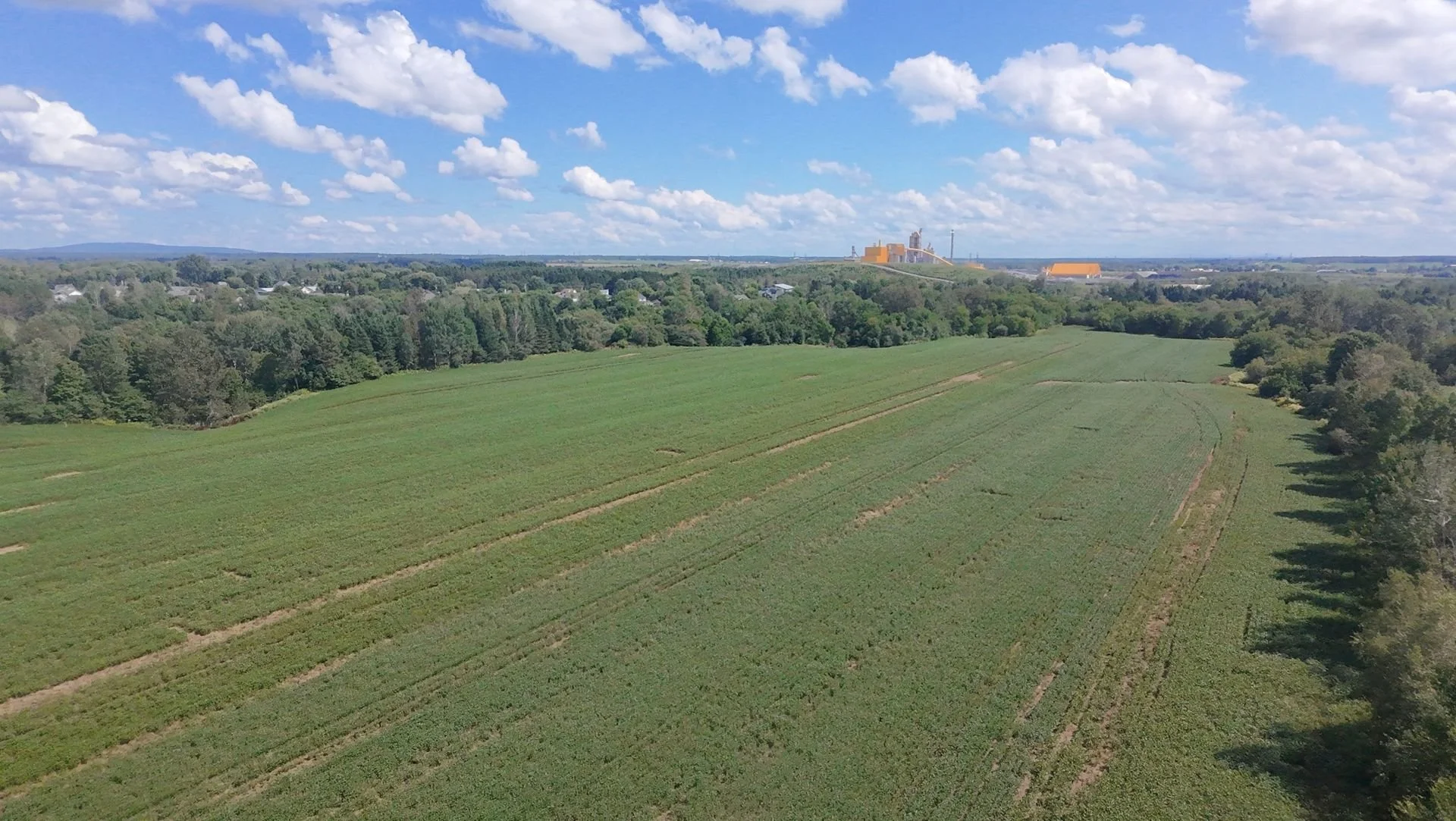 dji_fly_20260824_133900_0195_1787608847854.jpg