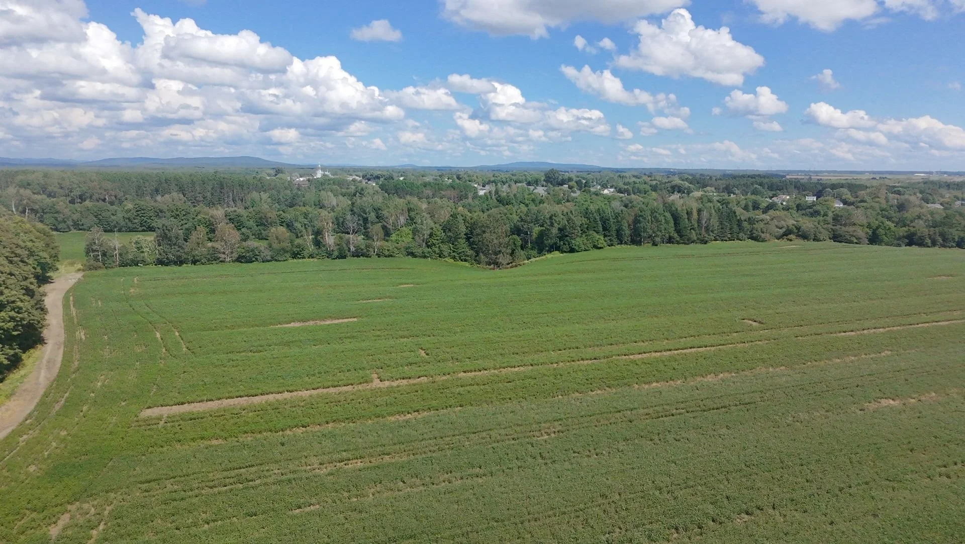 dji_fly_20260824_133926_0196_1787608847372.jpg