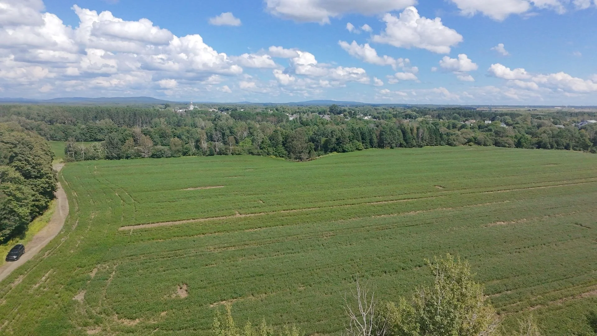 dji_fly_20260824_133932_0197_1787608846989.jpg