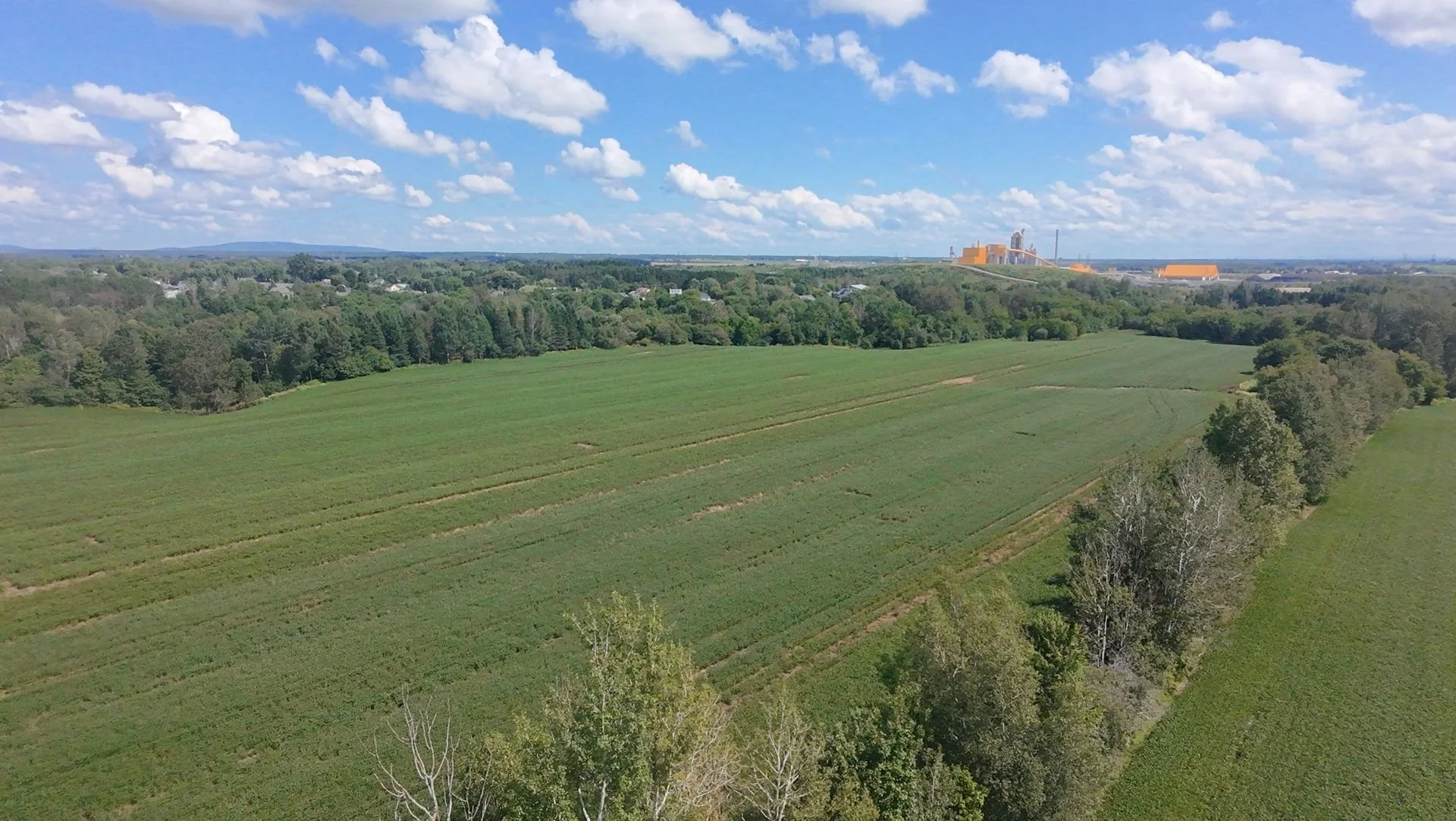 dji_fly_20260824_133936_0198_1787608846574.jpg