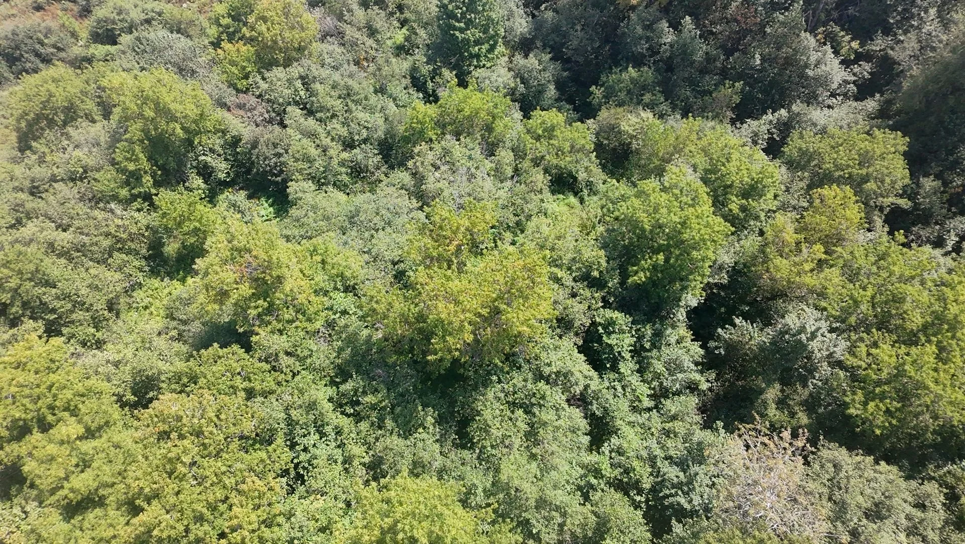 dji_fly_20260824_134114_0200_1787608846164.jpg