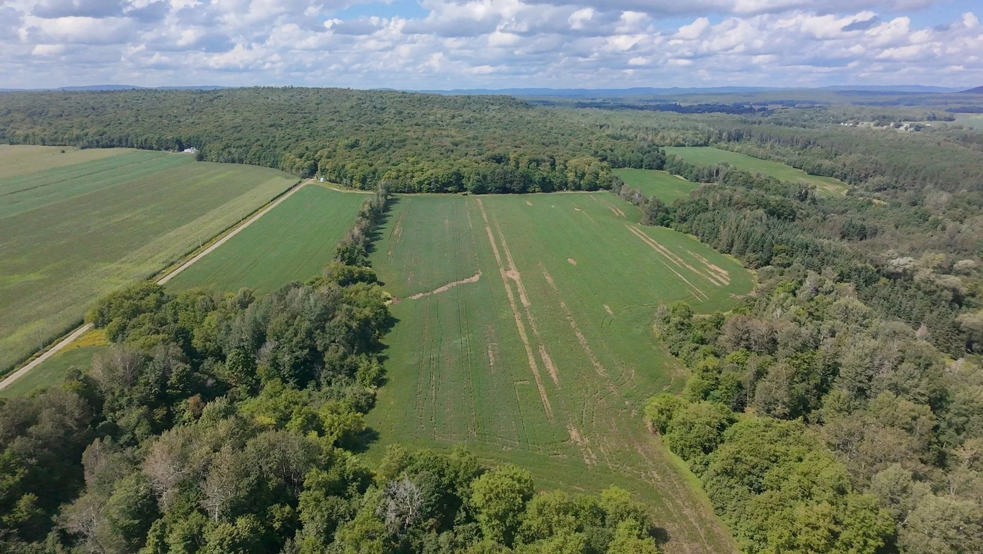 dji_fly_20260824_134200_0201_1787608845664.jpg