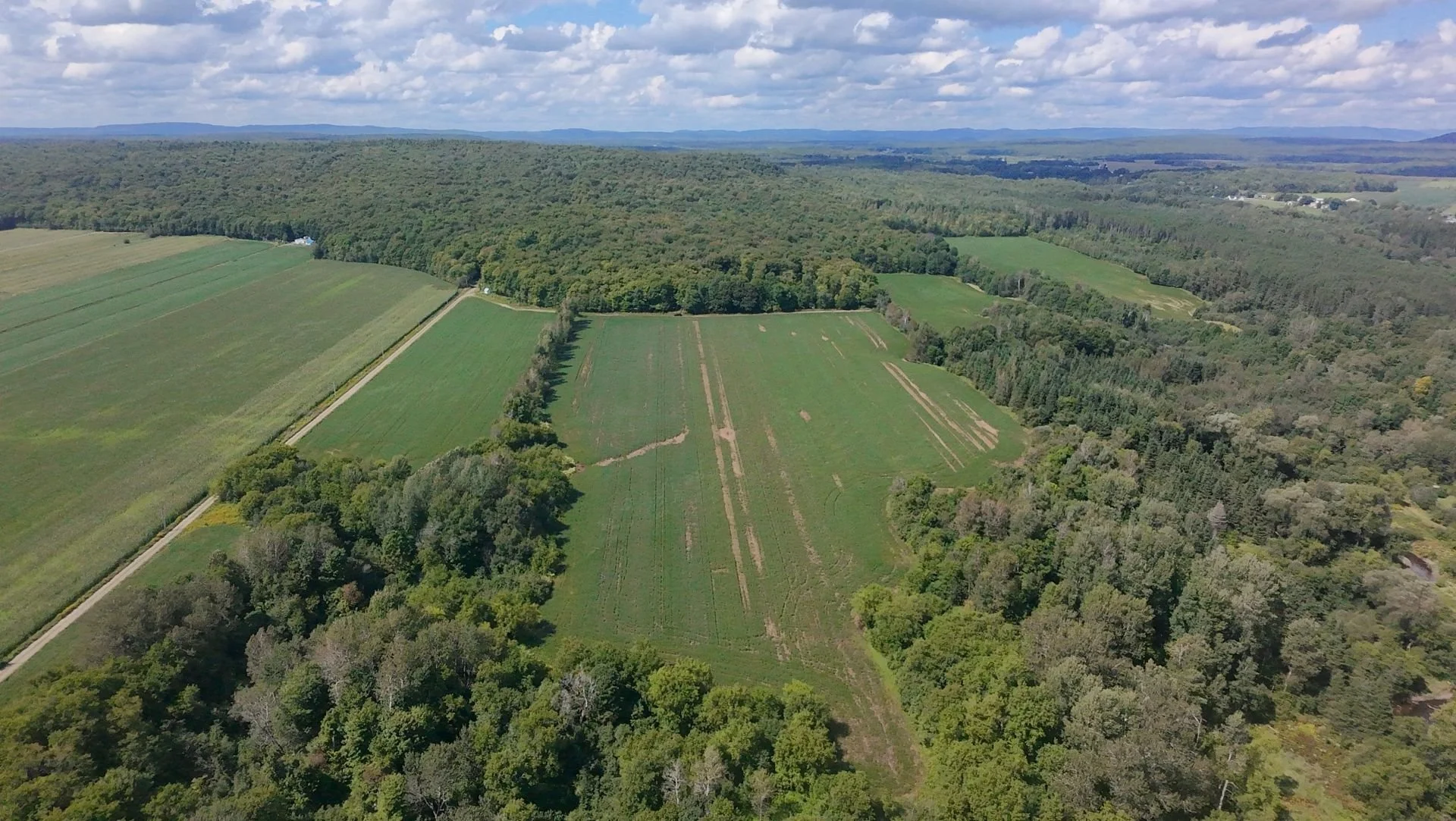 dji_fly_20260824_134214_0202_1787608845263.jpg