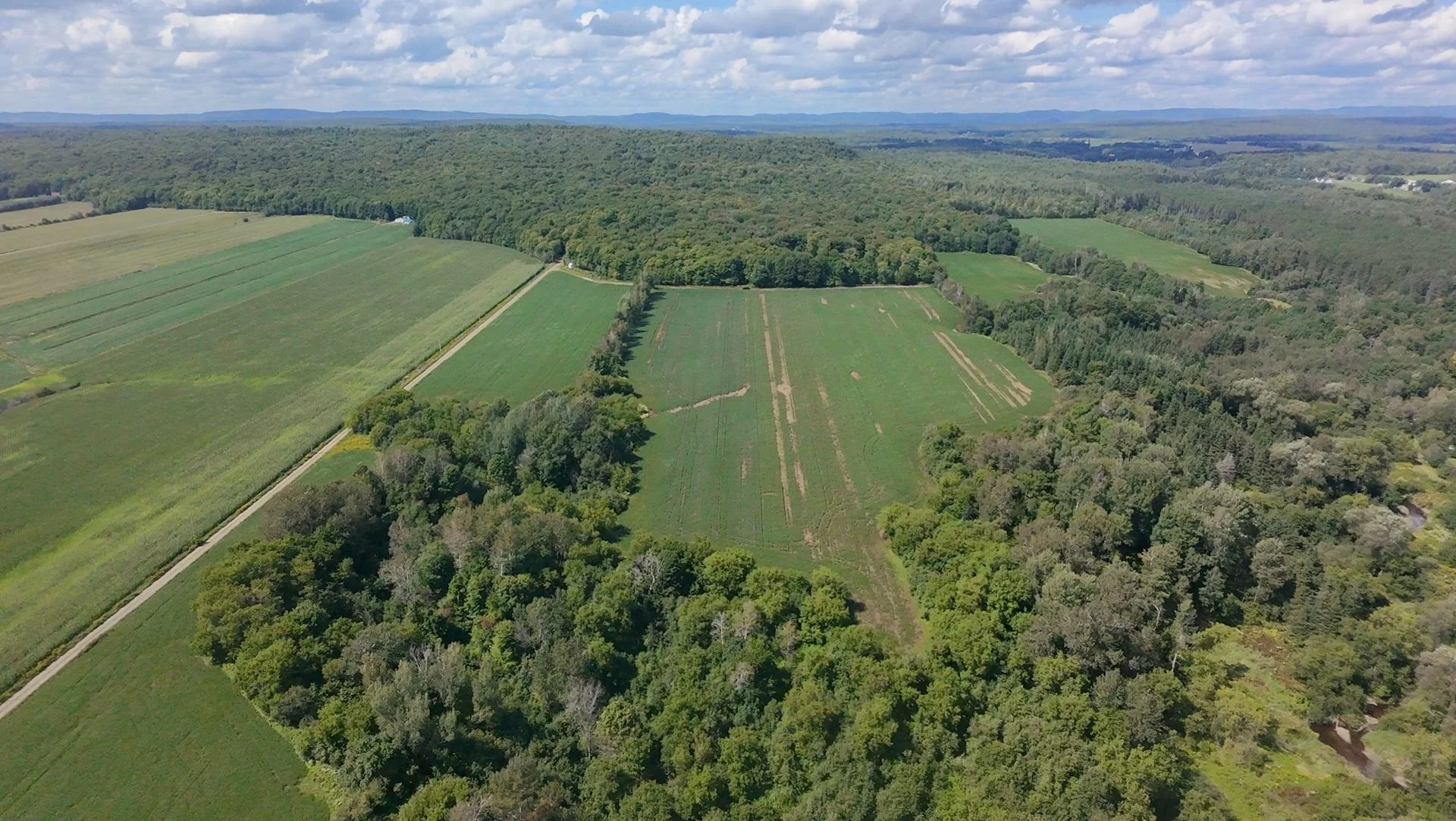 dji_fly_20260824_134222_0203_1787608844874.jpg