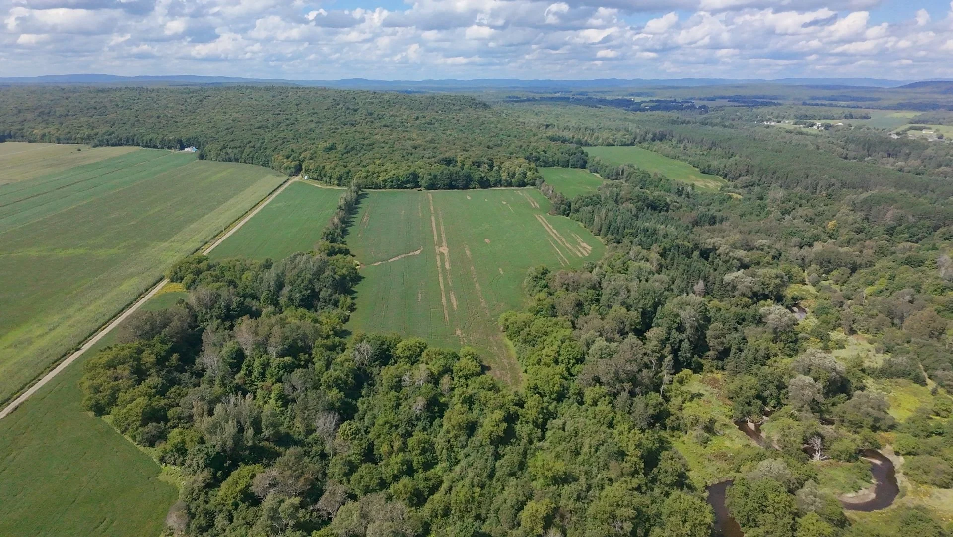 dji_fly_20260824_134232_0204_1787608844474.jpg