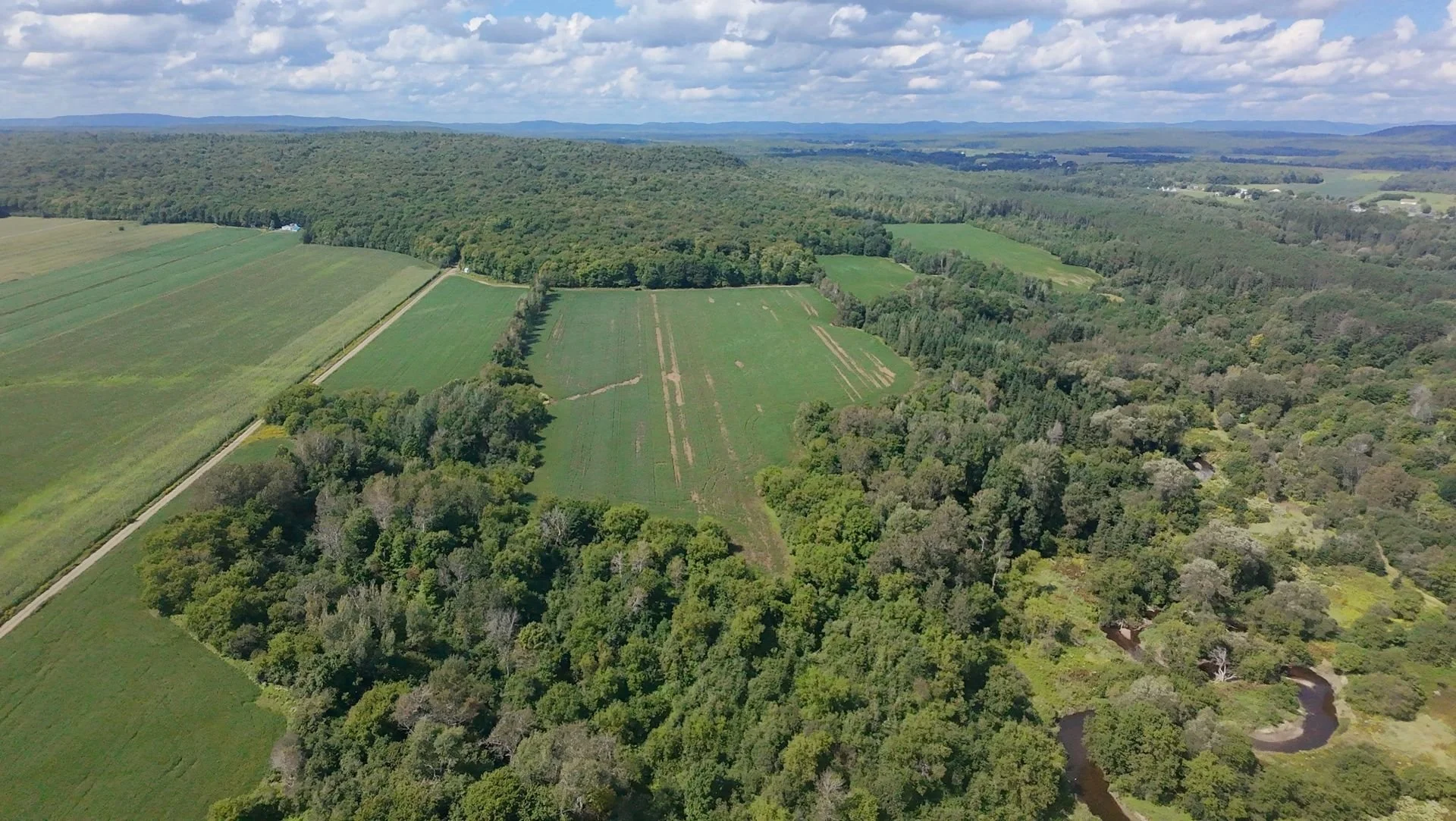 dji_fly_20260824_134234_0205_1787608844065.jpg