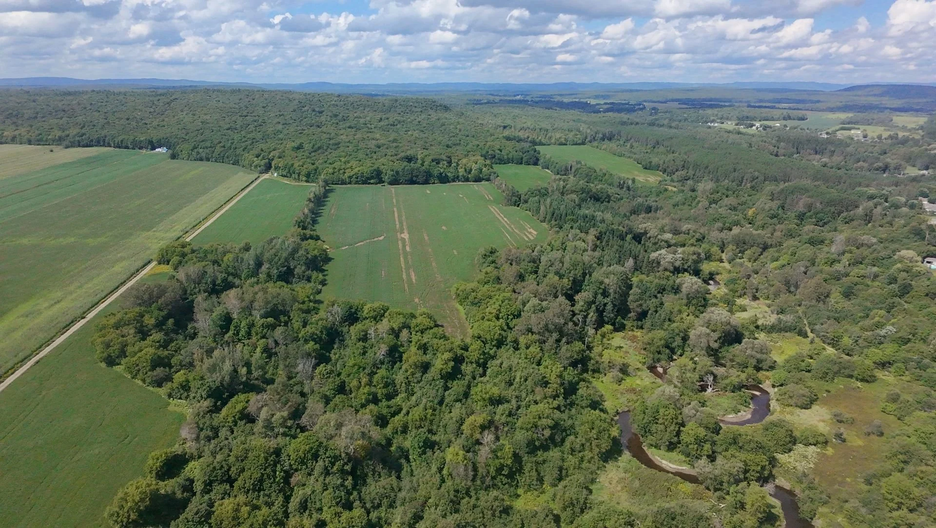 dji_fly_20260824_134240_0206_1787608843657.jpg