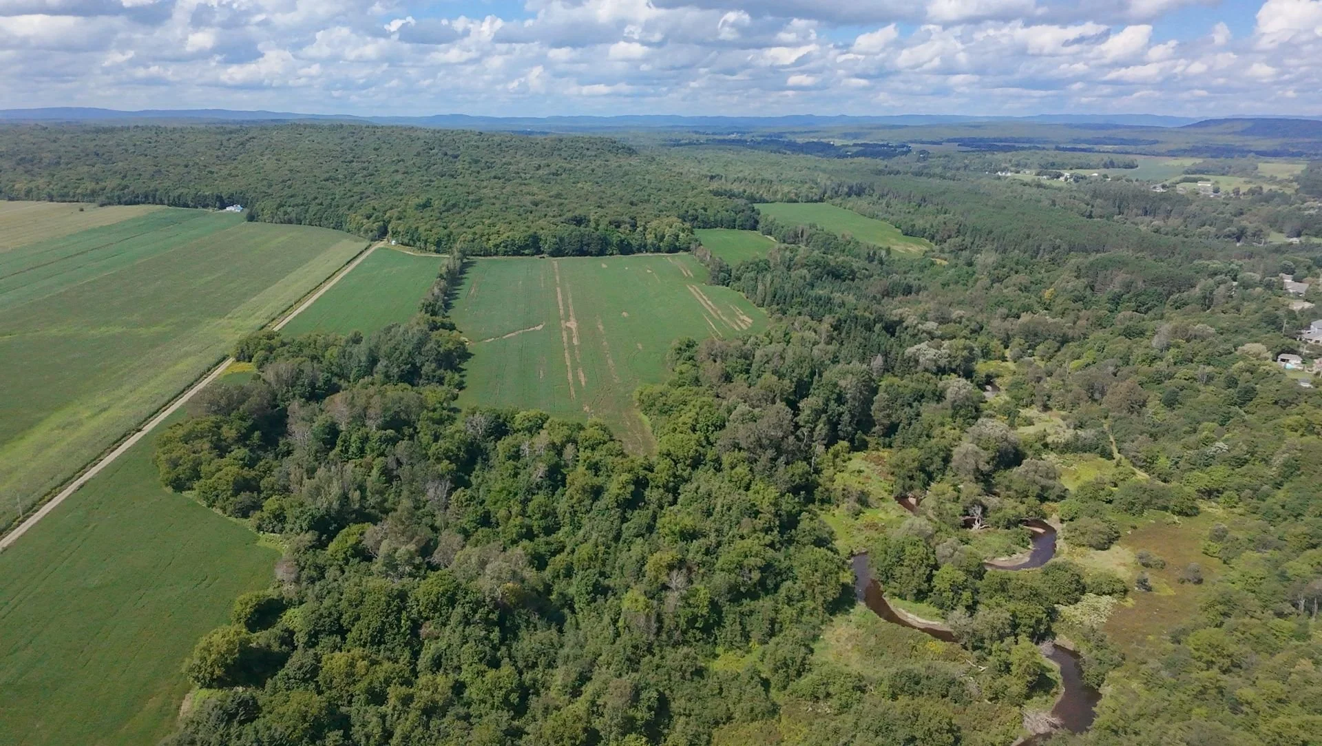 dji_fly_20260824_134242_0207_1787608843300.jpg