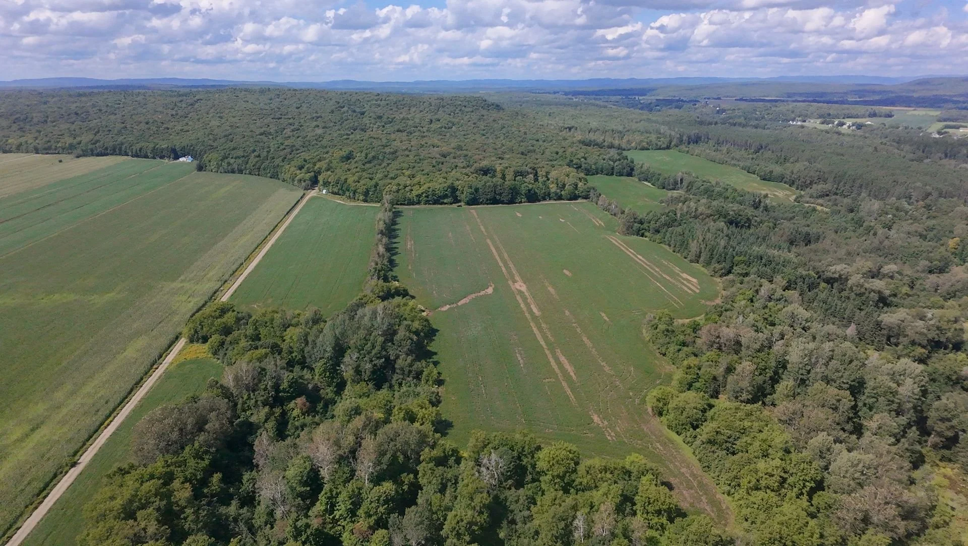 dji_fly_20260824_134428_0214_1787608839855.jpg