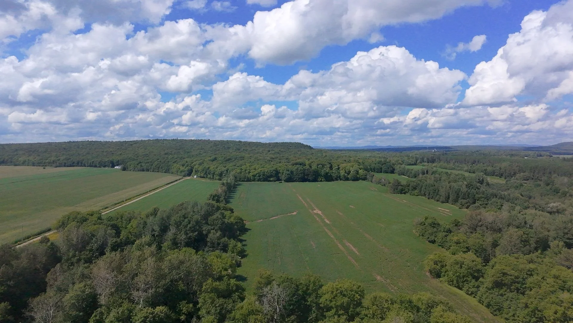 dji_fly_20260824_134554_0220_1787608836824.jpg