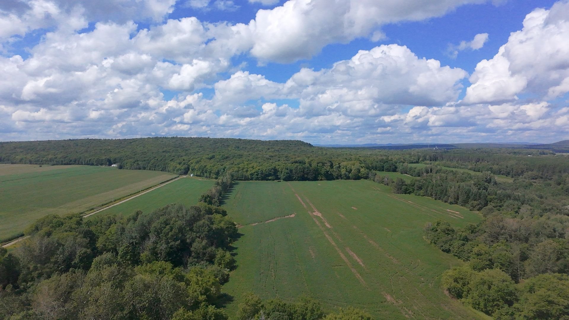 dji_fly_20260824_134556_0221_1787608836439.jpg