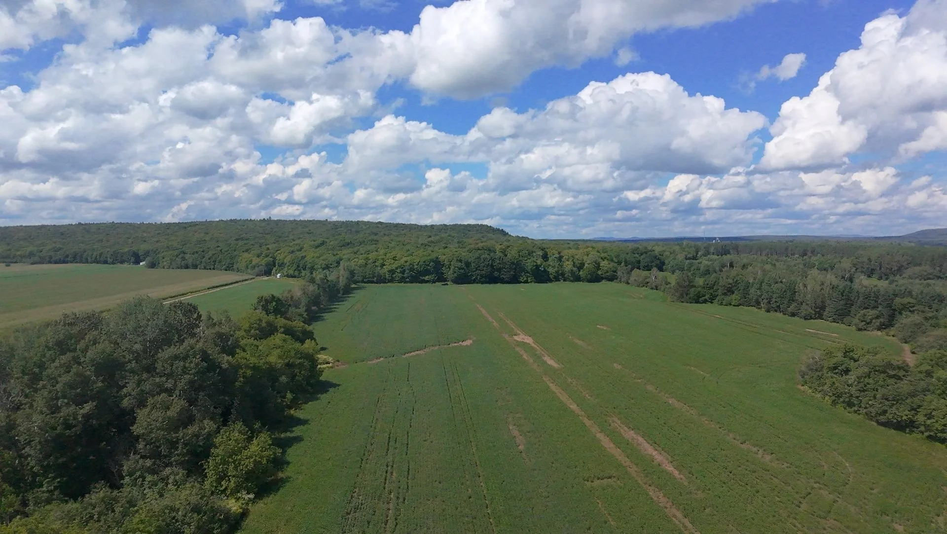 dji_fly_20260824_134608_0222_1787608836029.jpg
