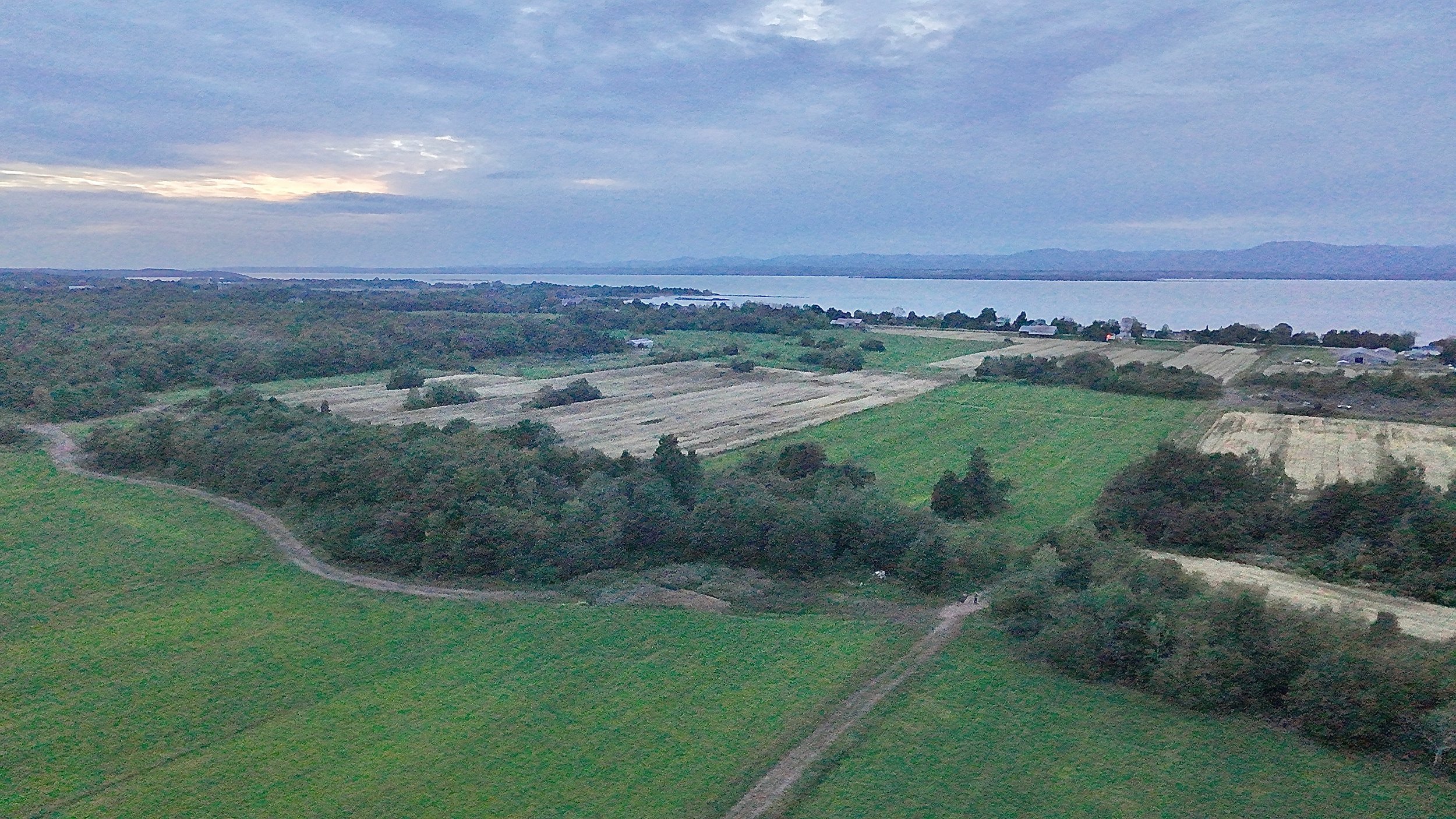 Terre-a-vendre-berthier-sur-mer-david-fafard-courtage-agricole (2).jpeg