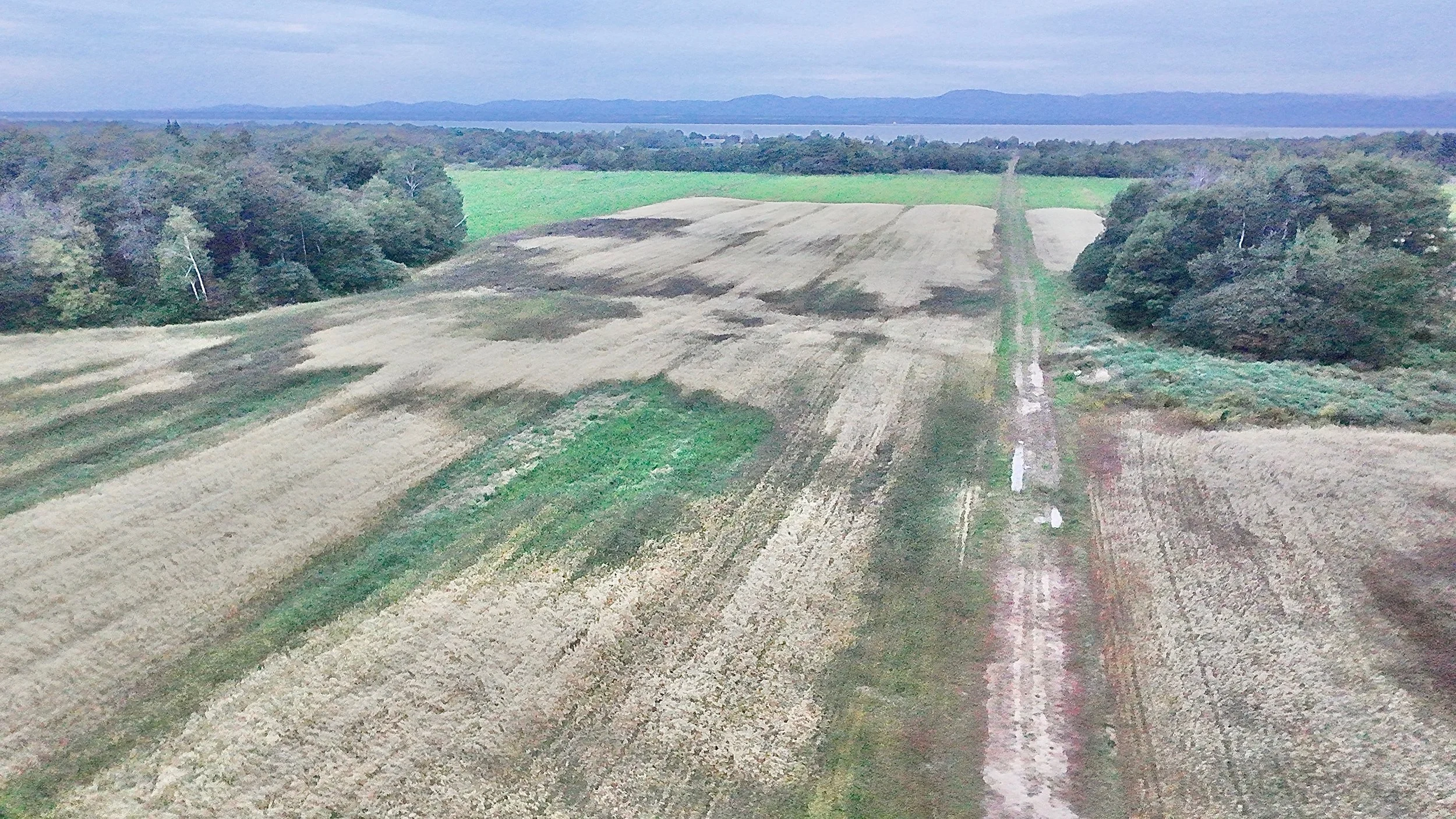 Terre-a-vendre-berthier-sur-mer-david-fafard-courtage-agricole (1).jpeg