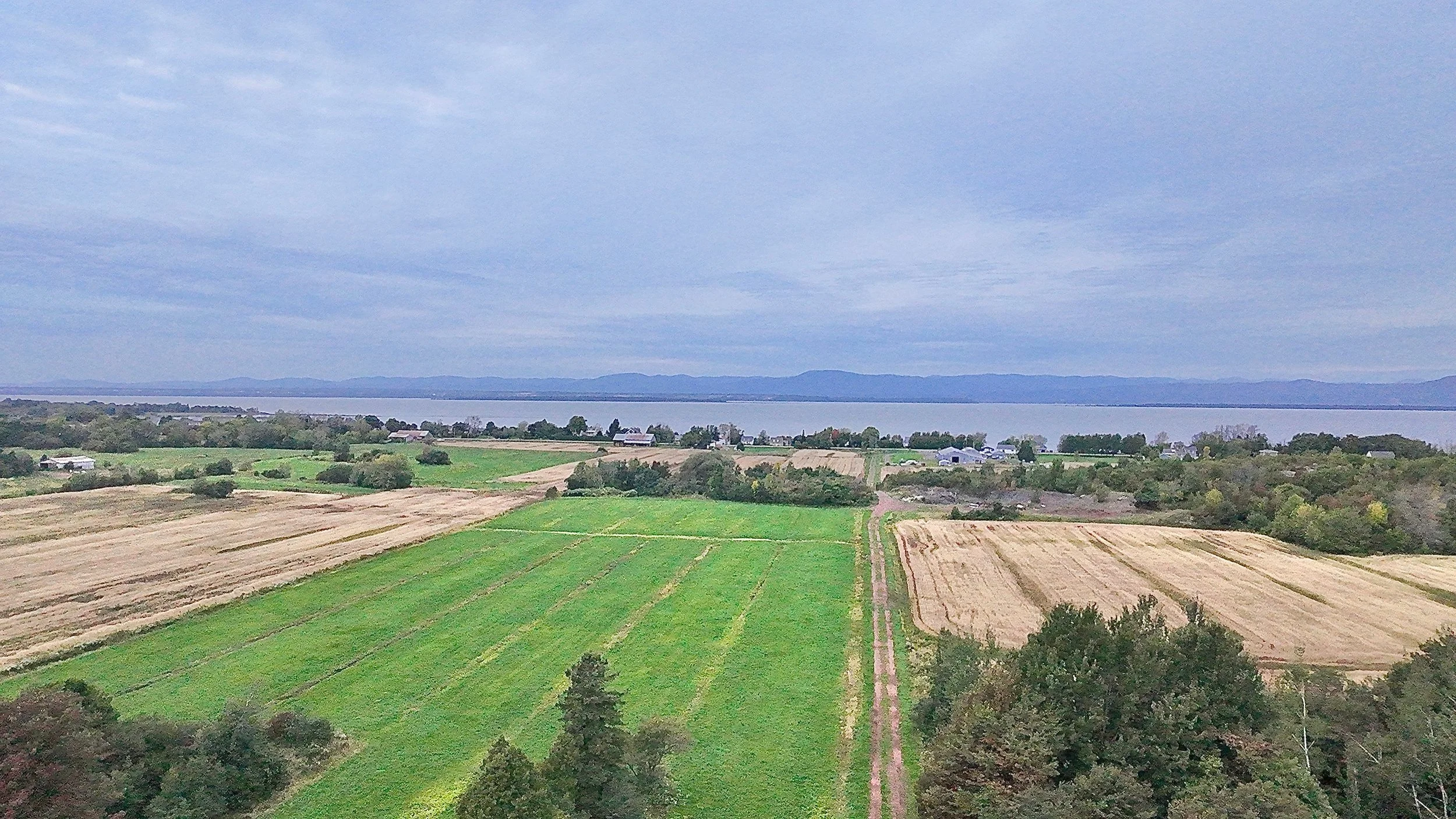 Terre-a-vendre-berthier-sur-mer-david-fafard-courtage-agricole (5).jpeg
