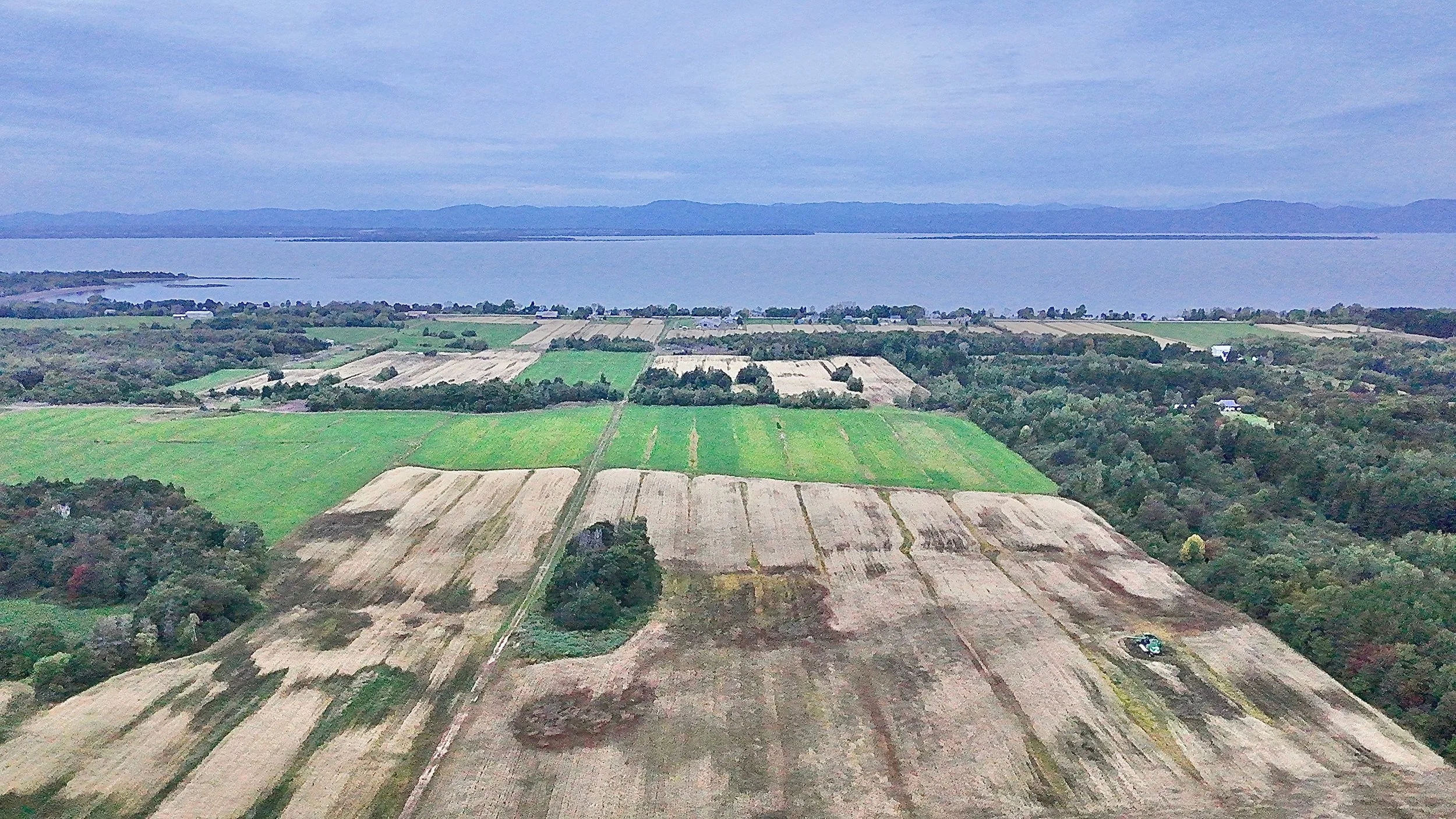 Terre-a-vendre-berthier-sur-mer-david-fafard-courtage-agricole (6).jpeg