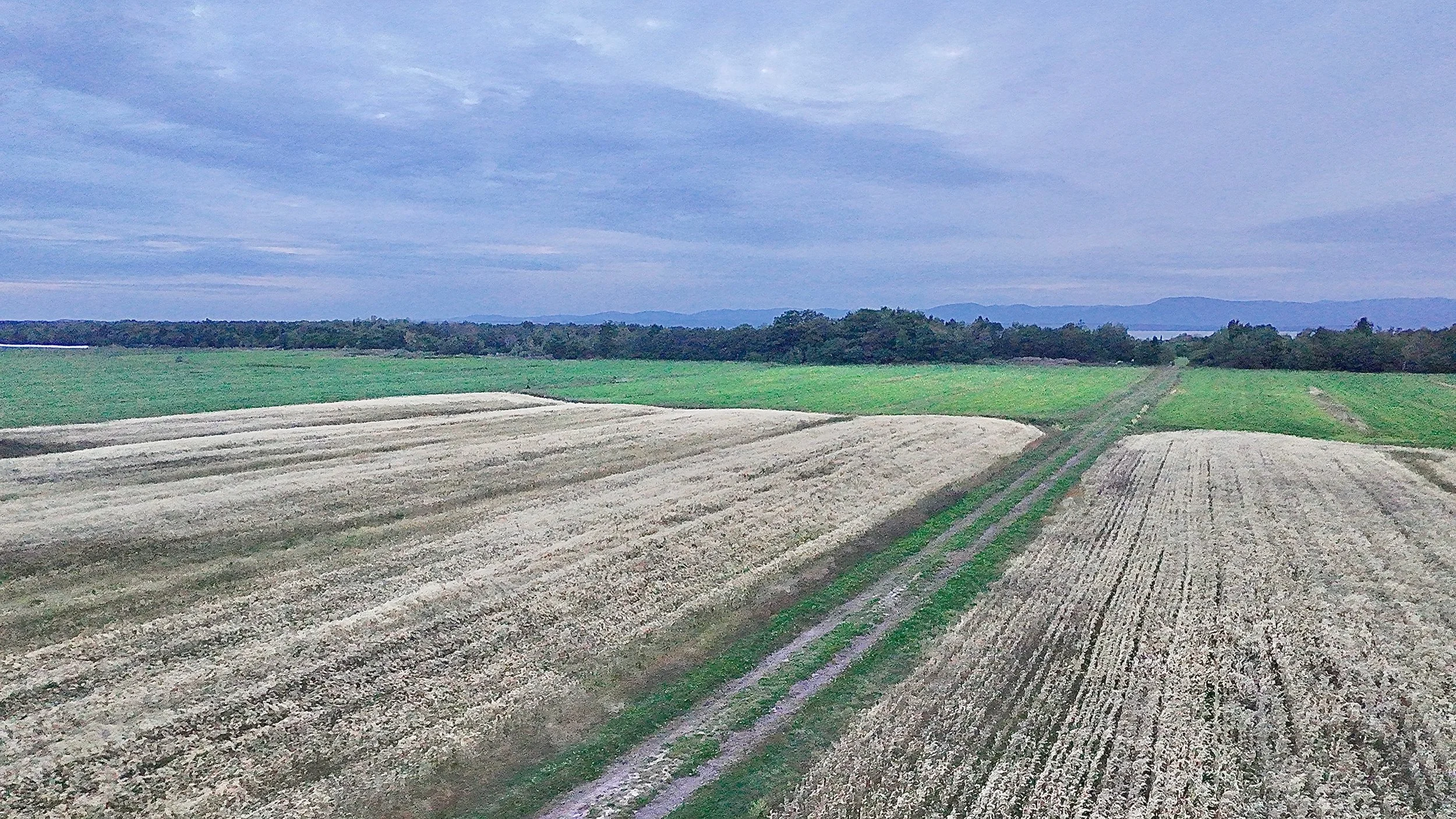 Terre-a-vendre-berthier-sur-mer-david-fafard-courtage-agricole (7).jpeg