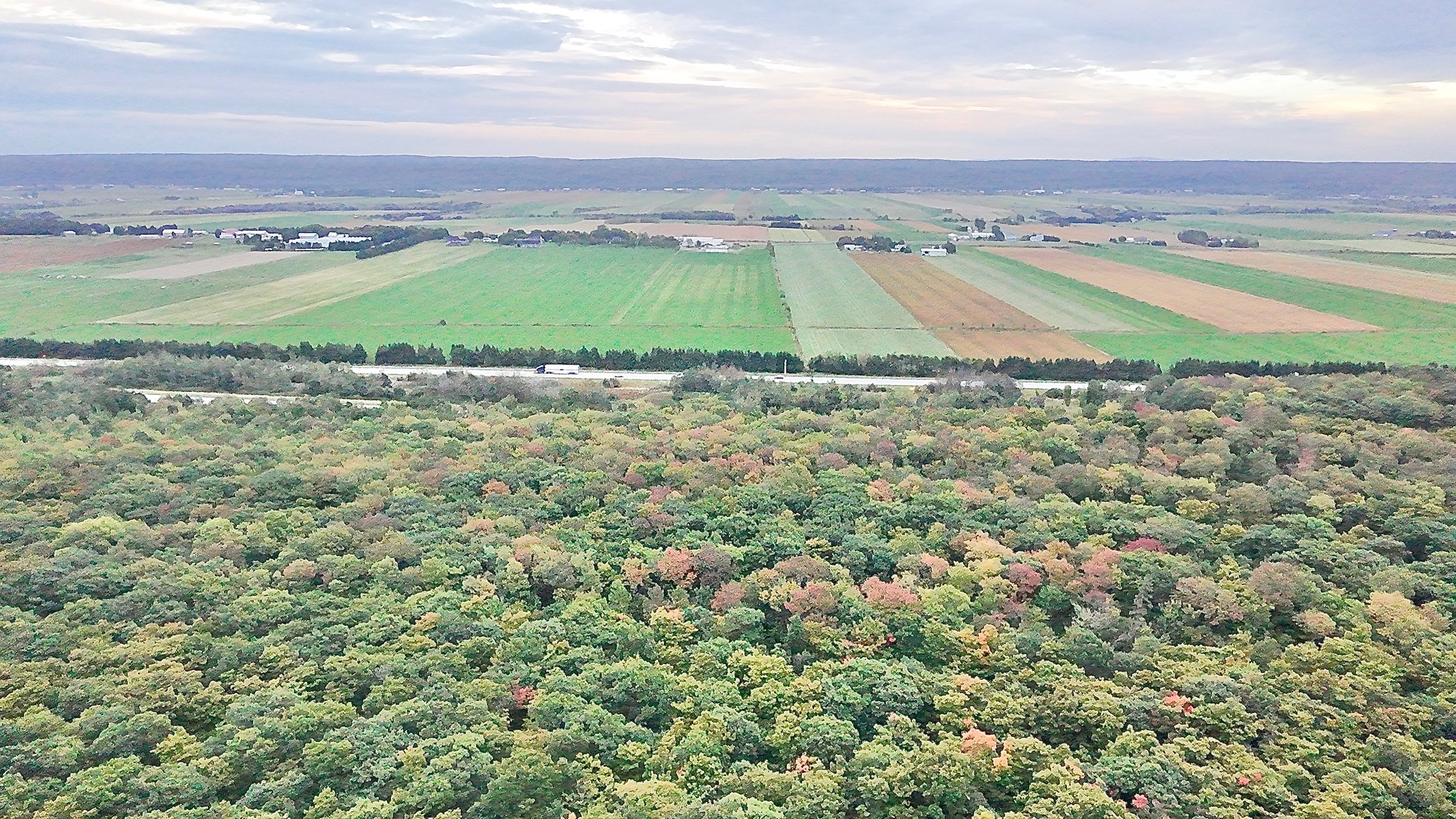 Terre-a-vendre-berthier-sur-mer-david-fafard-courtage-agricole (8).jpeg