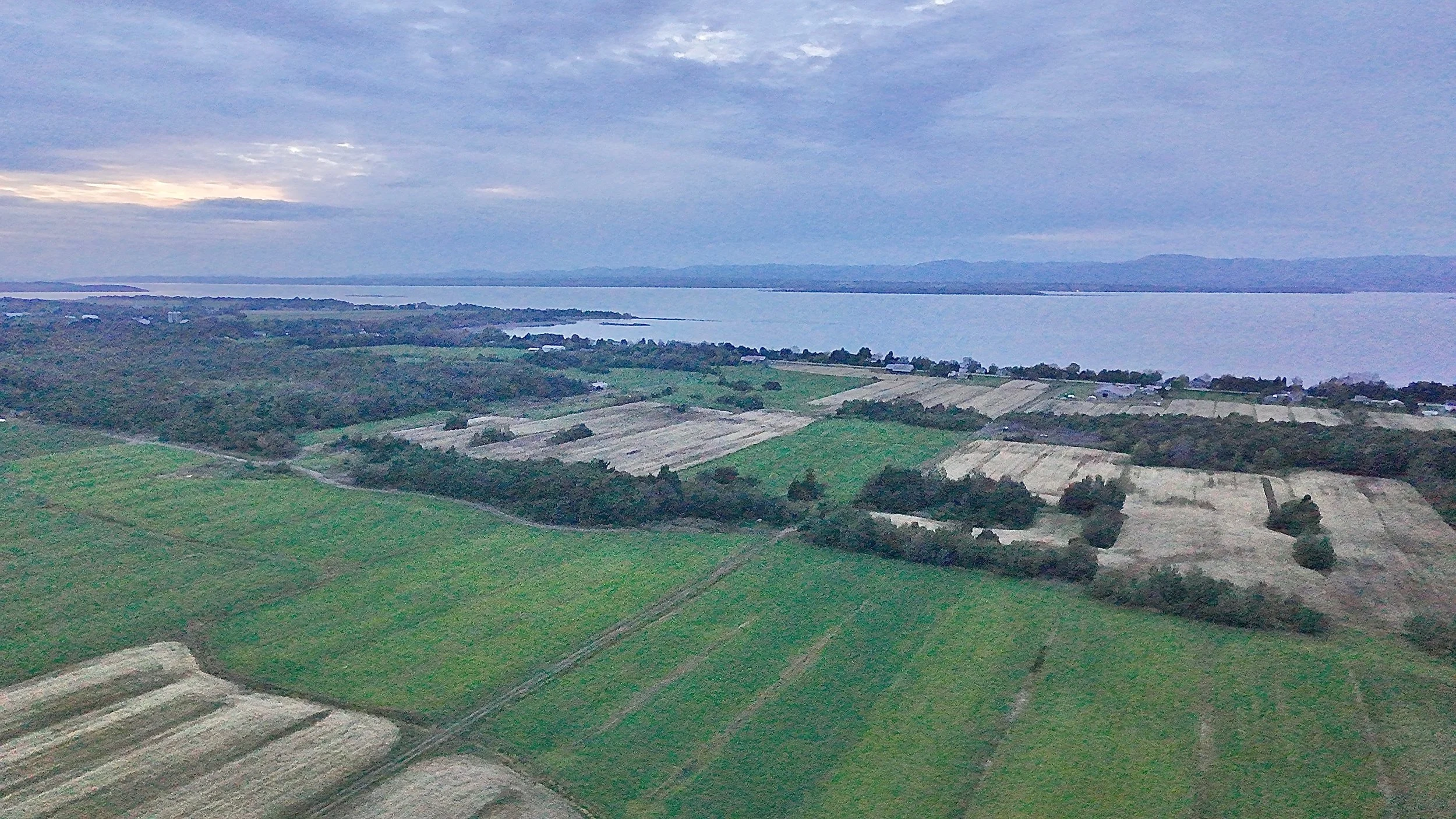 Terre-a-vendre-berthier-sur-mer-david-fafard-courtage-agricole (10).jpeg