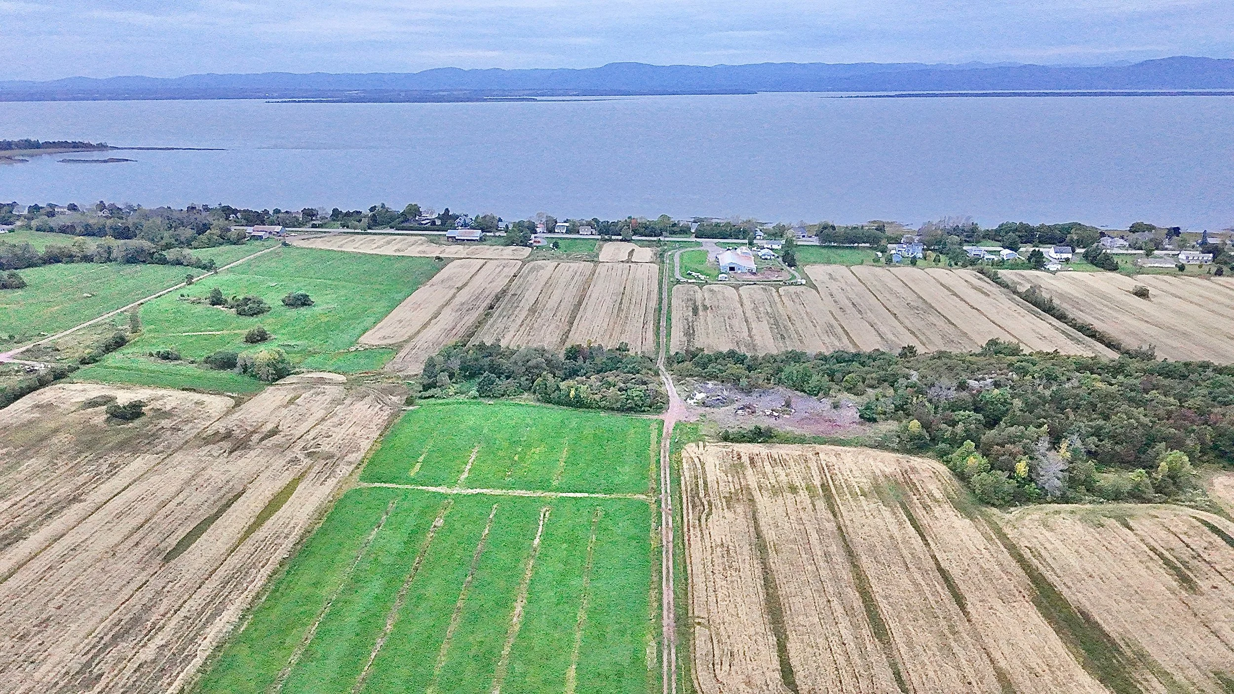 Terre-a-vendre-berthier-sur-mer-david-fafard-courtage-agricole (9).jpeg