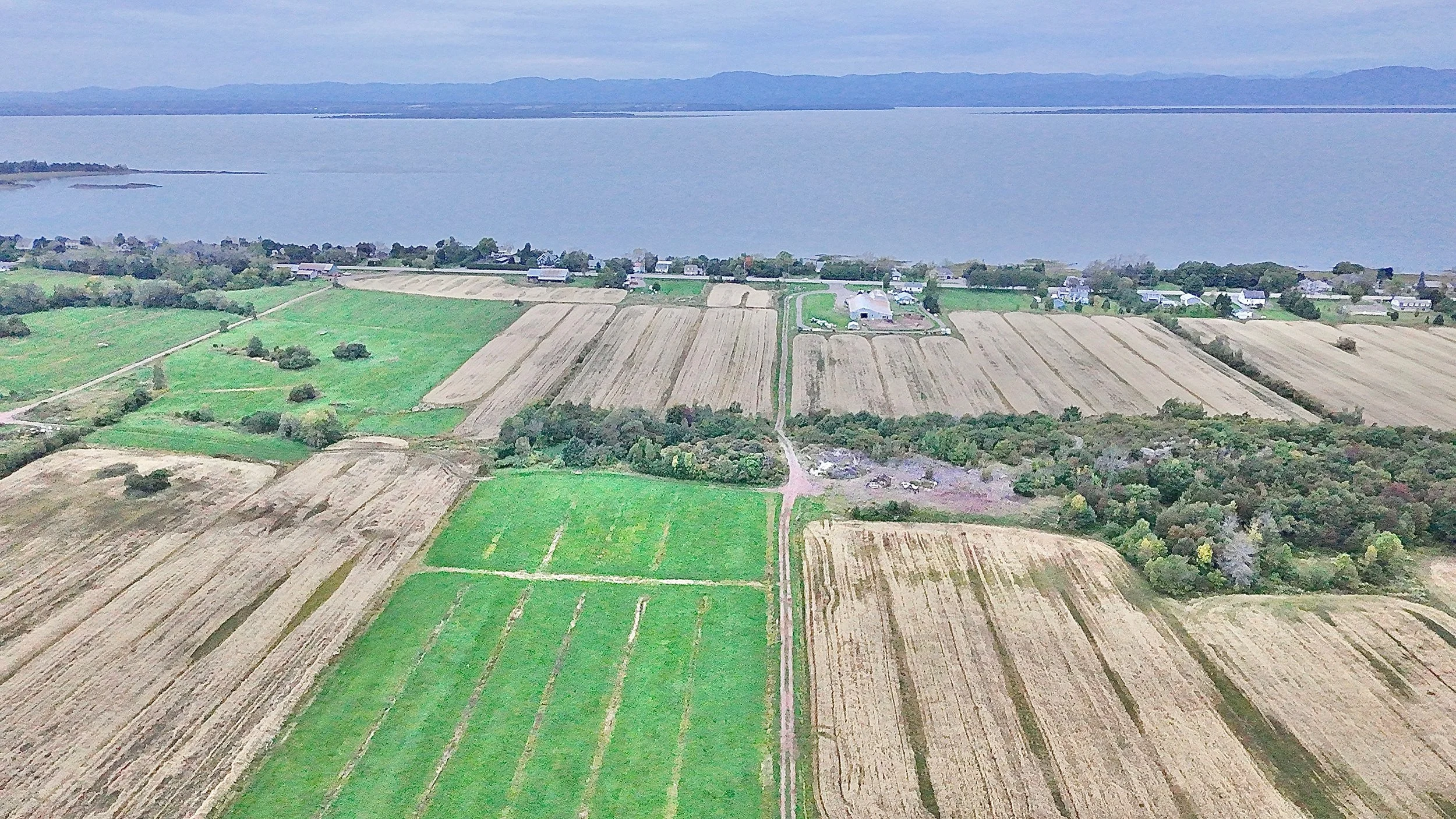 Terre-a-vendre-berthier-sur-mer-david-fafard-courtage-agricole (12).jpeg