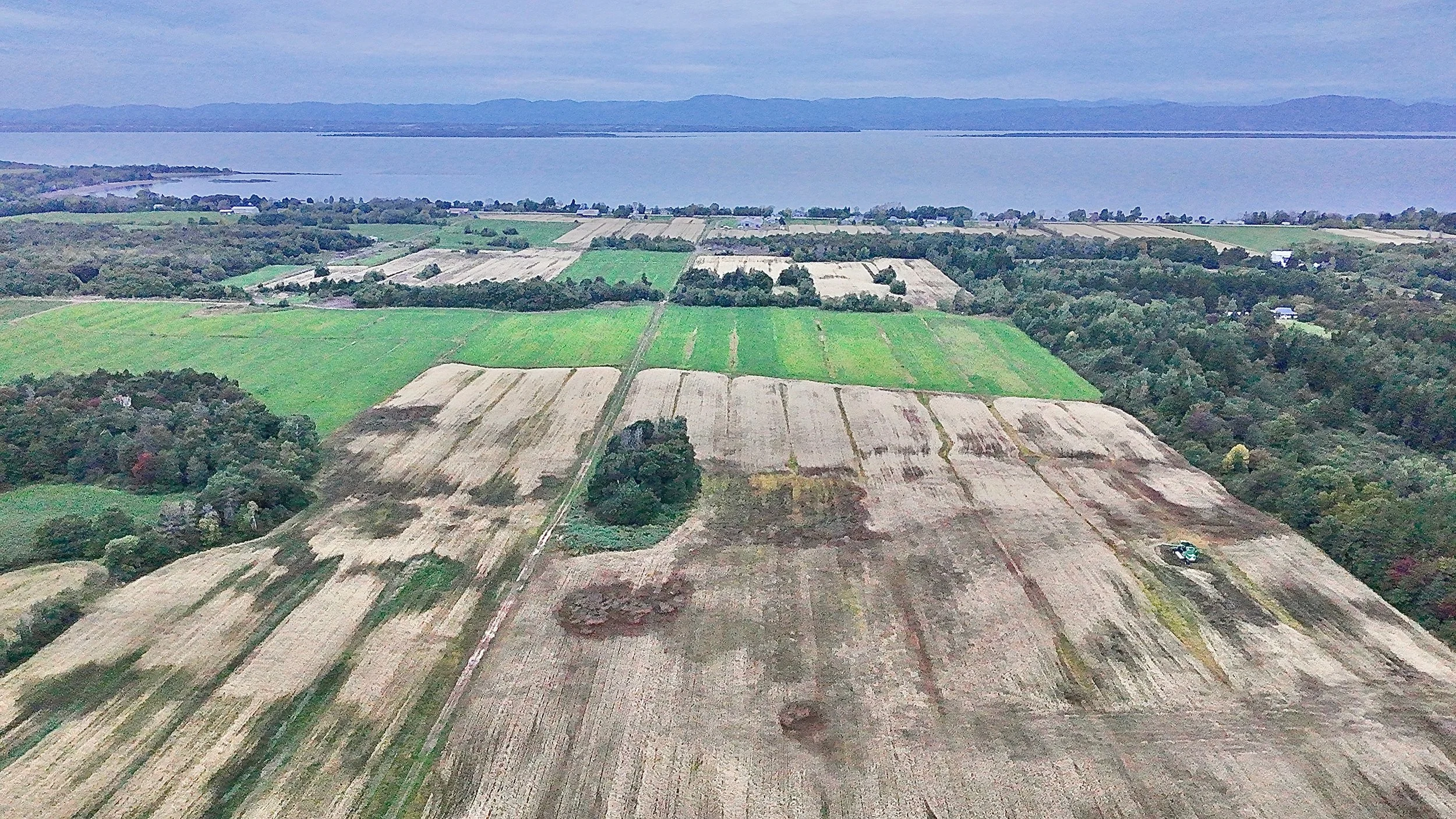 Terre-a-vendre-berthier-sur-mer-david-fafard-courtage-agricole (13).jpeg