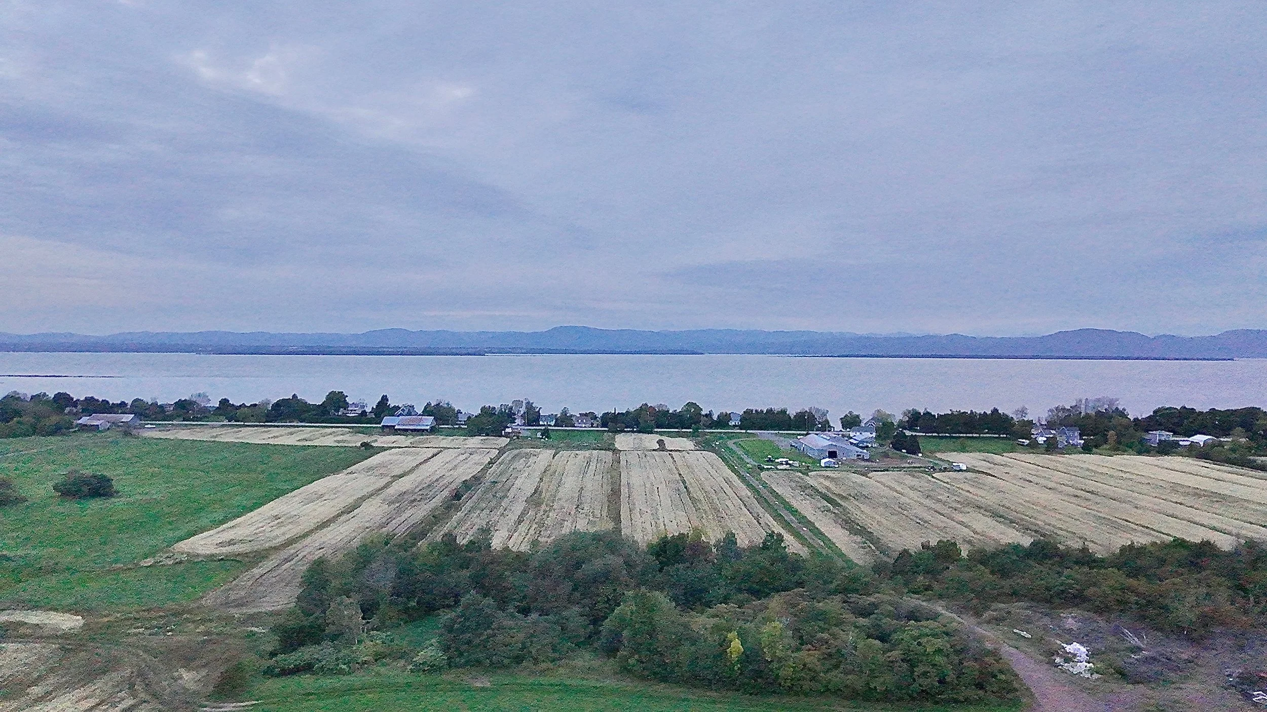 Terre-a-vendre-berthier-sur-mer-david-fafard-courtage-agricole (15).jpeg