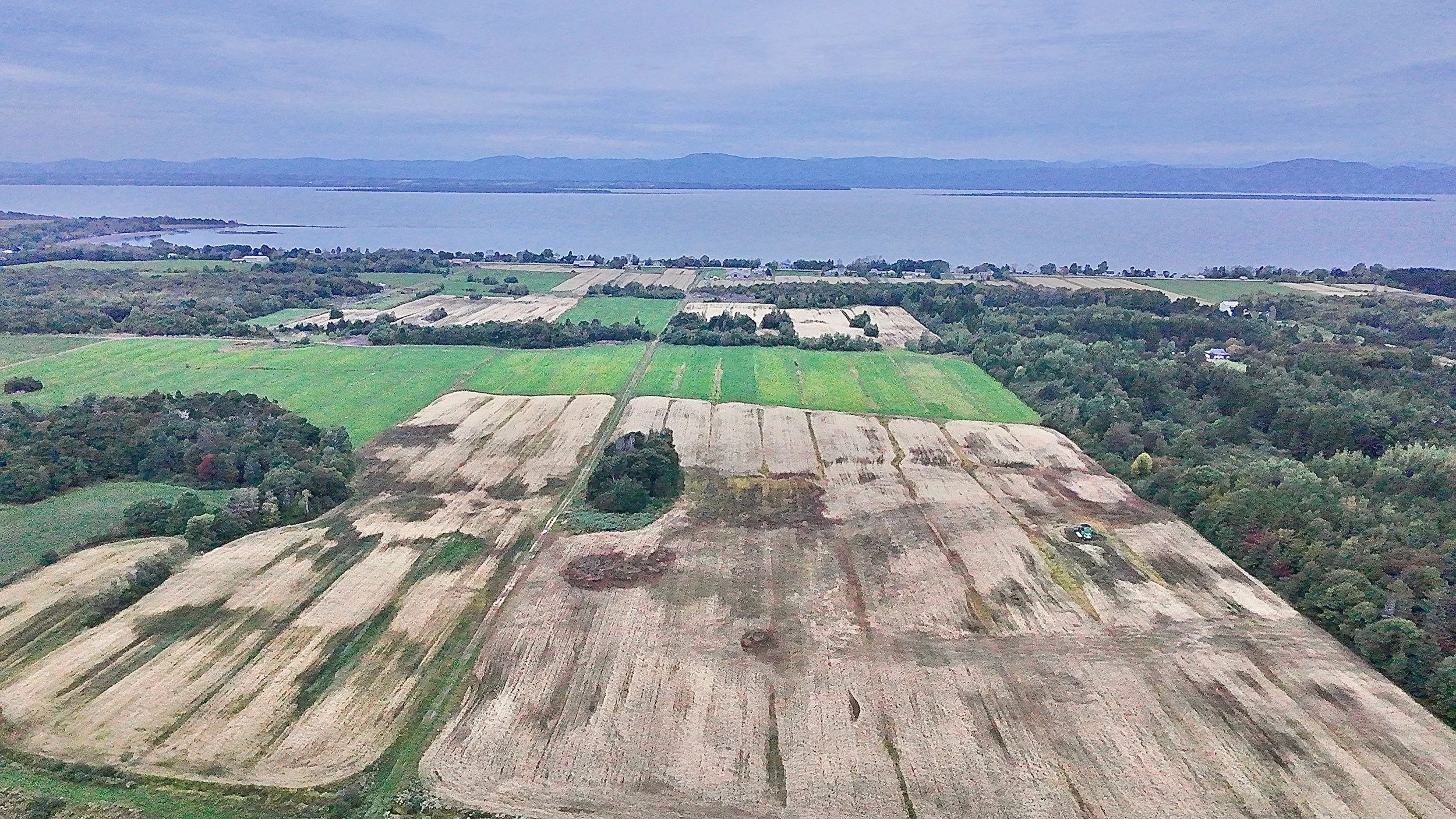 Terre-a-vendre-berthier-sur-mer-david-fafard-courtage-agricole (19).jpeg